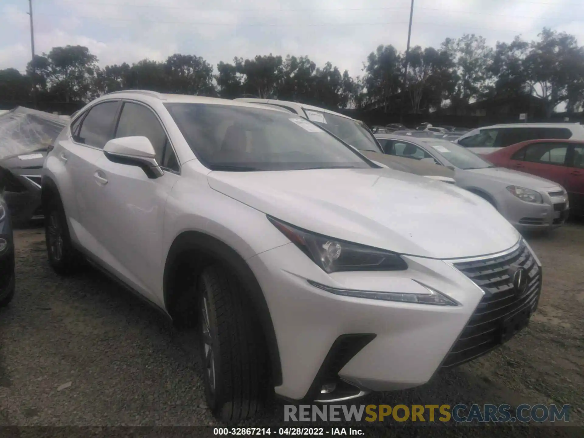 1 Photograph of a damaged car JTJAARDZ2L5006921 LEXUS NX 2020