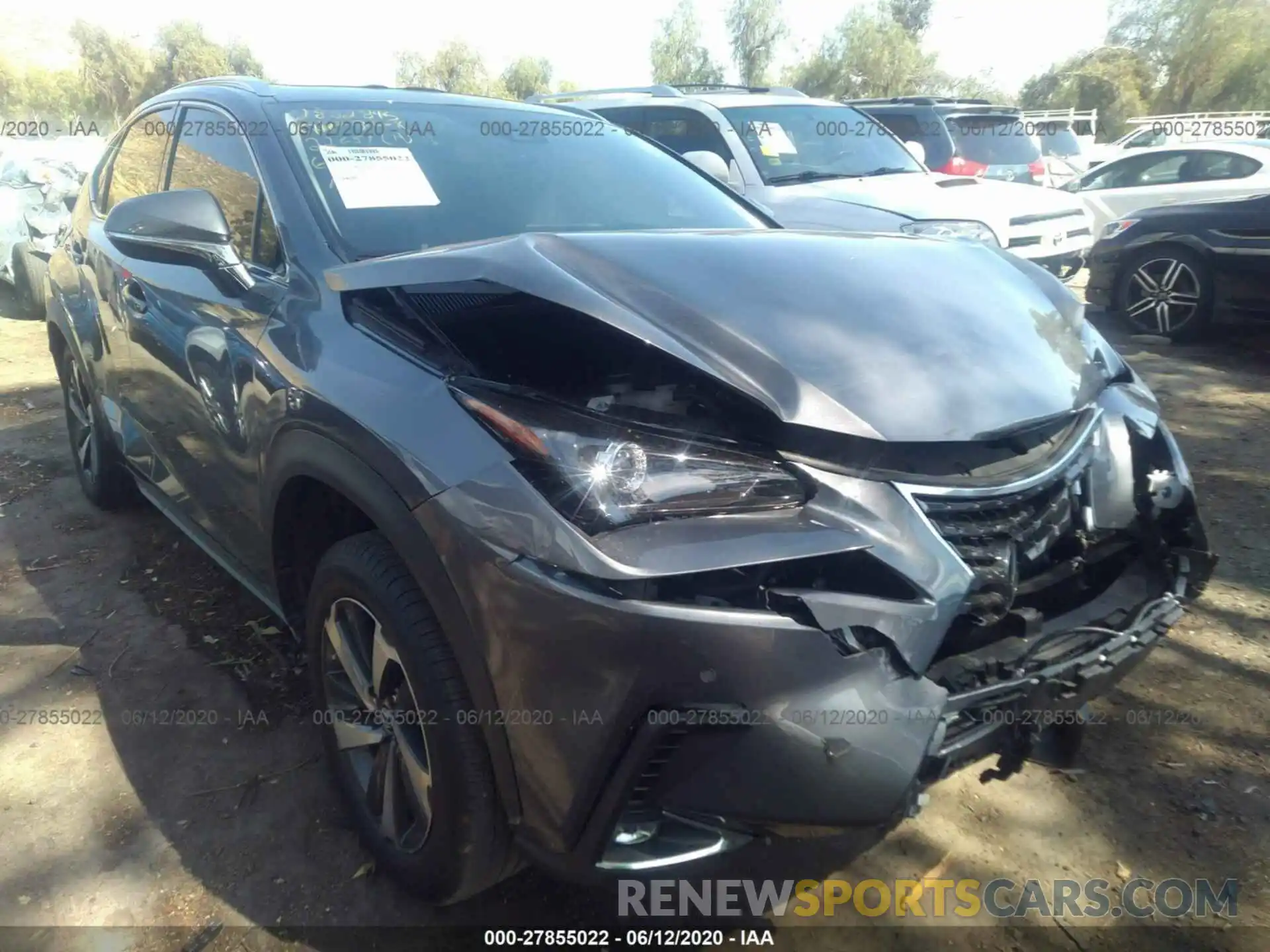 1 Photograph of a damaged car JTJDARBZ0L5007551 LEXUS NX 2020