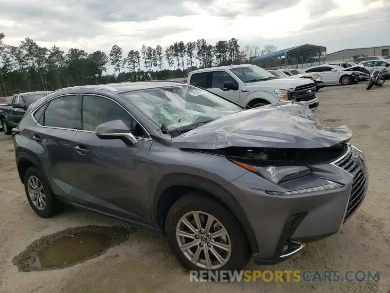 1 Photograph of a damaged car JTJDARBZ1L2167889 LEXUS NX 2020