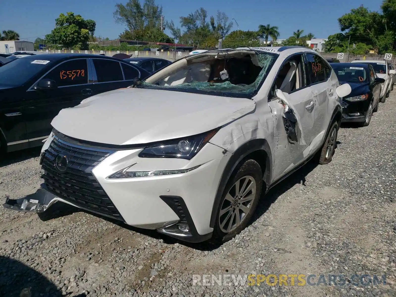 2 Photograph of a damaged car JTJDARBZ4L5007651 LEXUS NX 2020