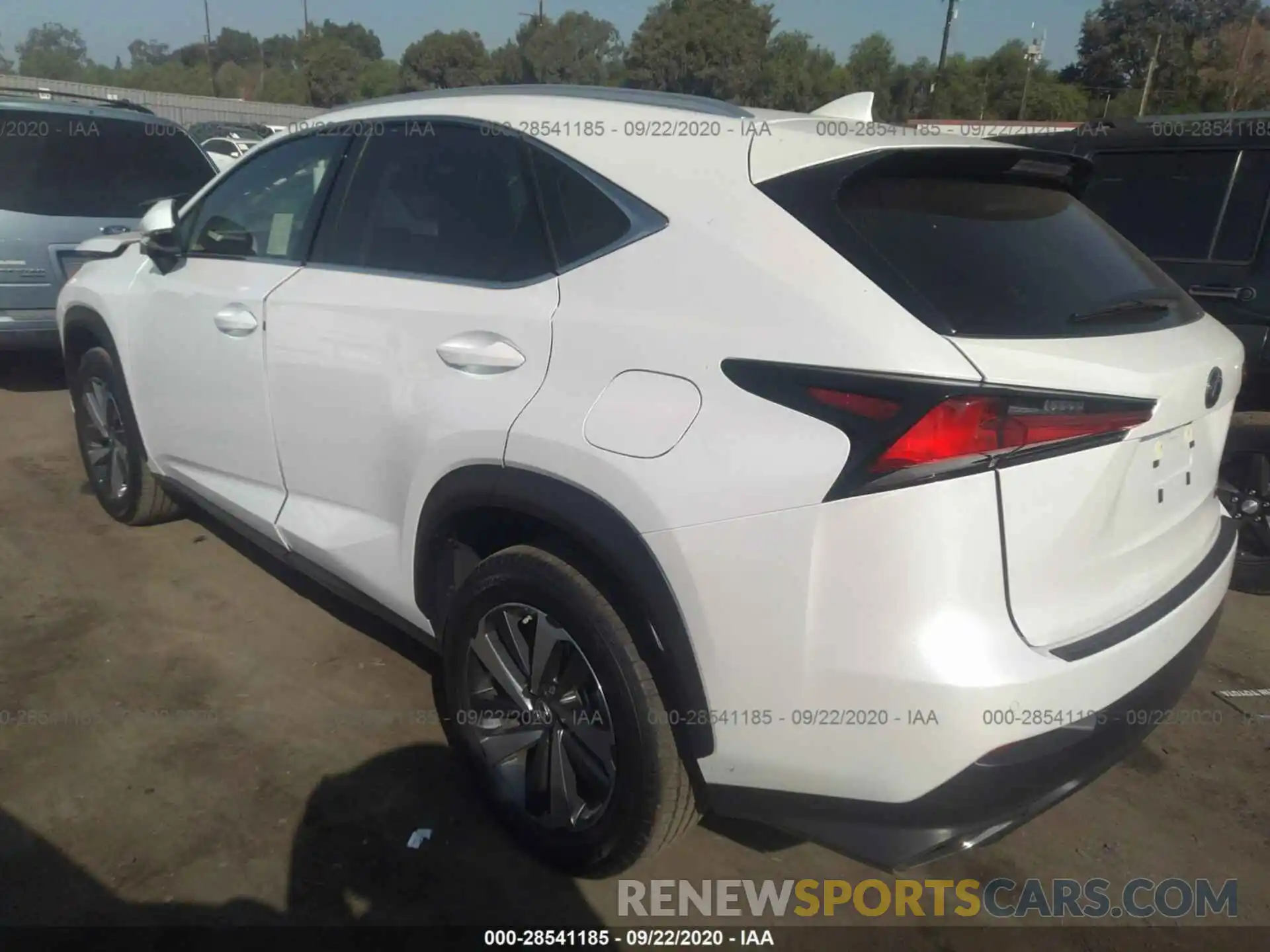 3 Фотография поврежденного автомобиля JTJDARBZ5L5006802 LEXUS NX 2020