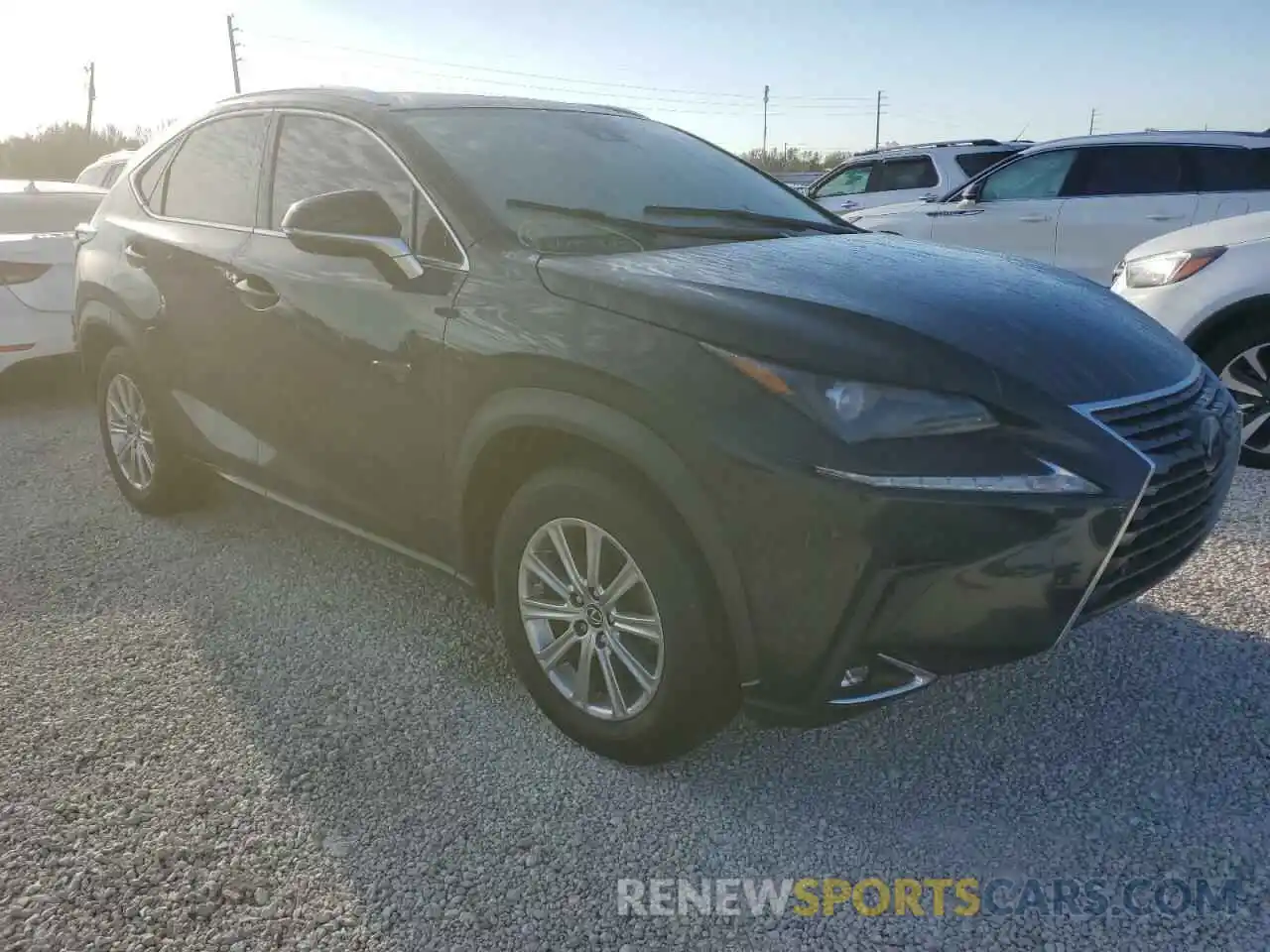 1 Фотография поврежденного автомобиля JTJDARBZ5L5020568 LEXUS NX 2020