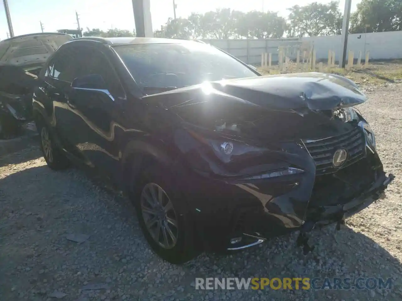 1 Photograph of a damaged car JTJDARBZ8L2173981 LEXUS NX 2020