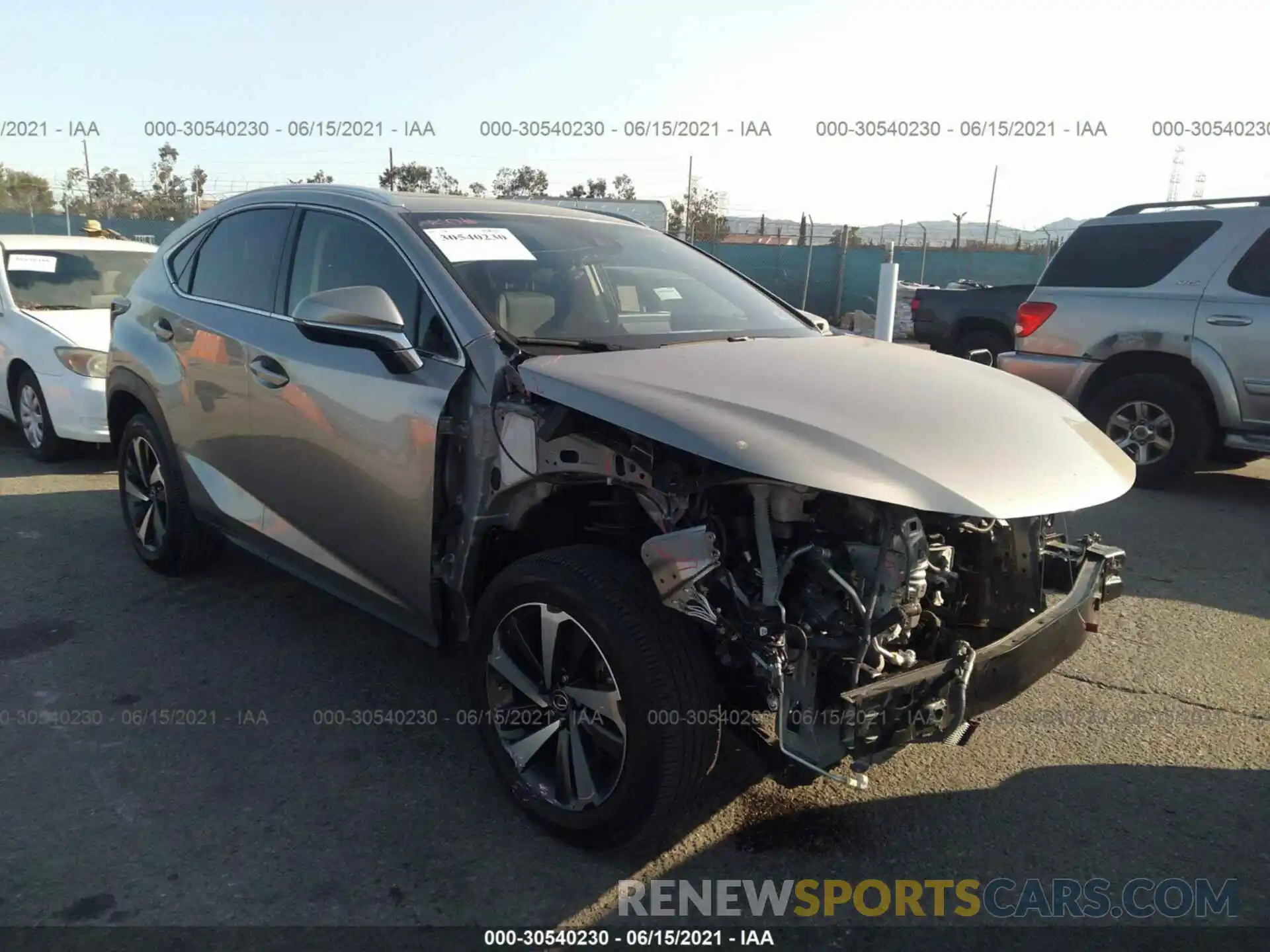 1 Photograph of a damaged car JTJDARBZ9L2165128 LEXUS NX 2020