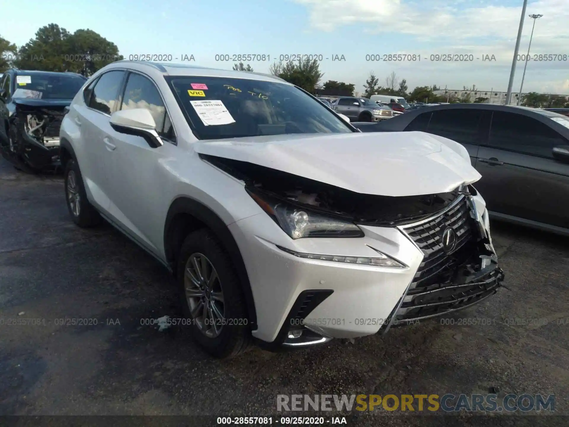 1 Photograph of a damaged car JTJDARBZXL5010375 LEXUS NX 2020