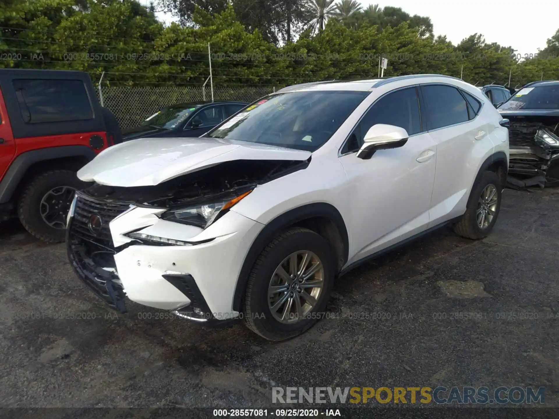 2 Photograph of a damaged car JTJDARBZXL5010375 LEXUS NX 2020