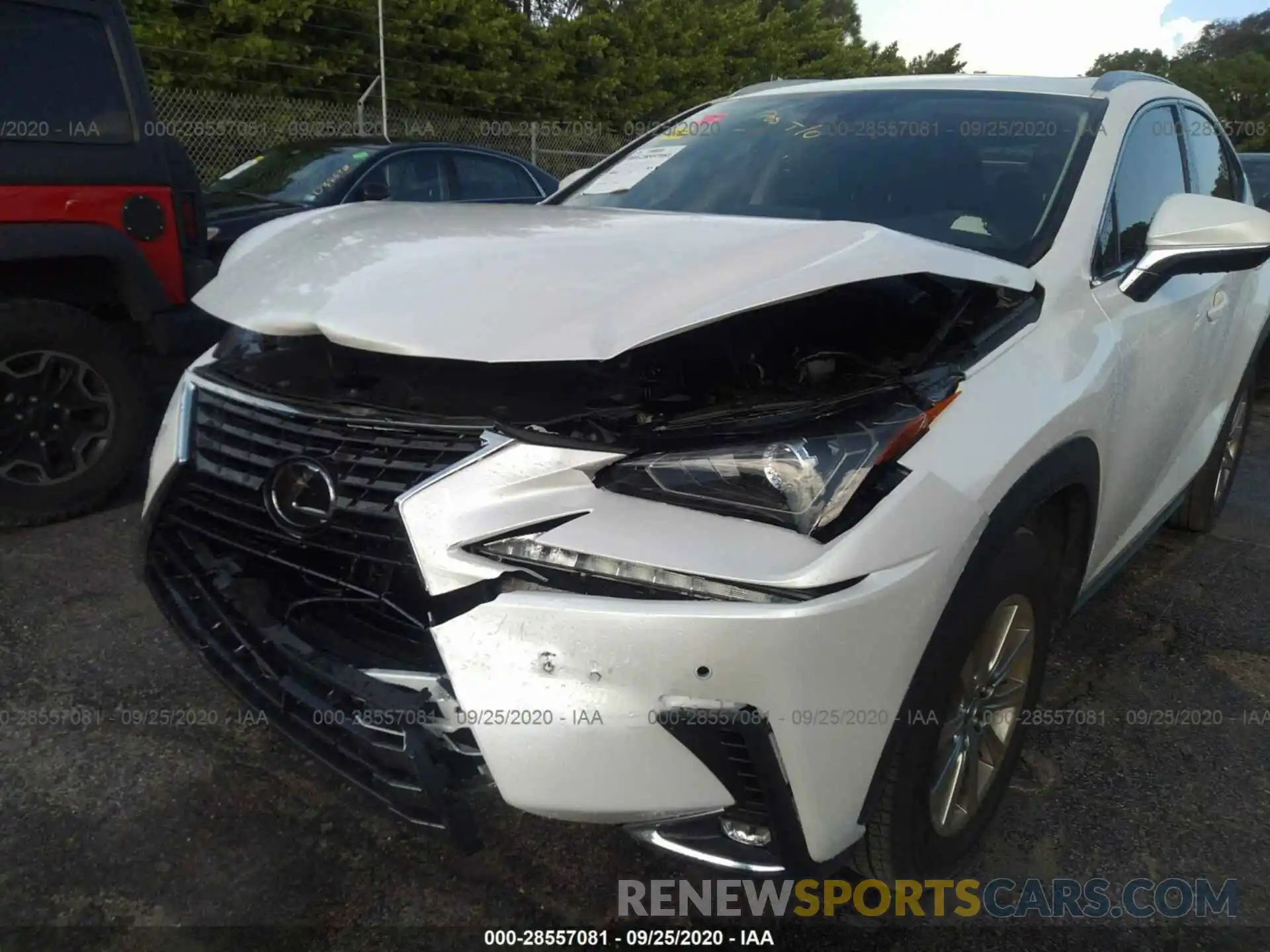 6 Photograph of a damaged car JTJDARBZXL5010375 LEXUS NX 2020