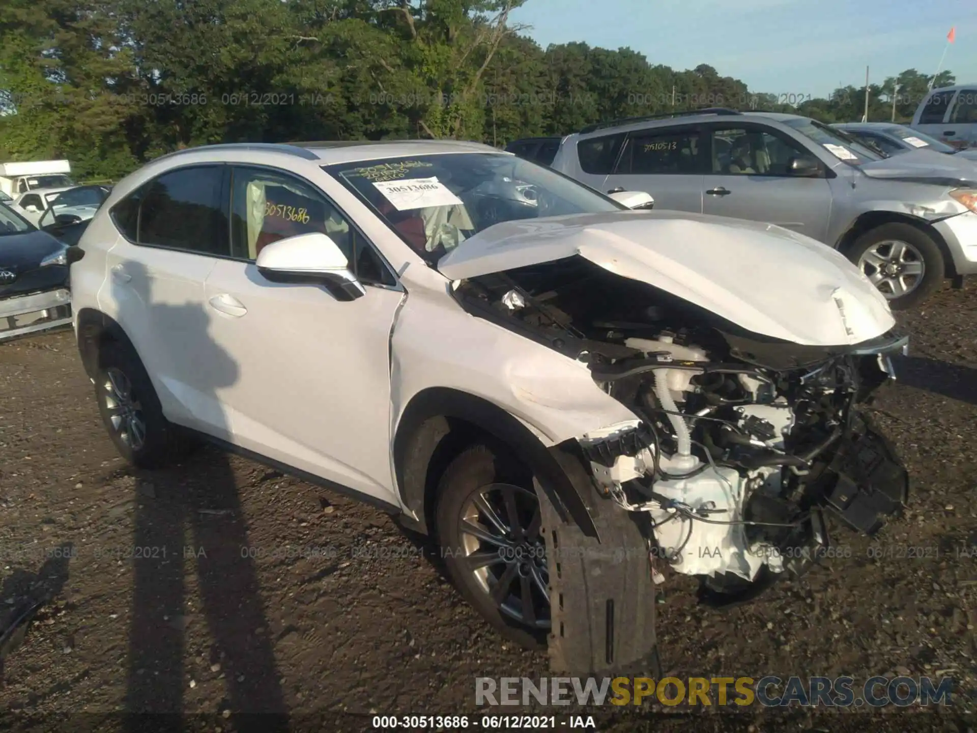 1 Photograph of a damaged car JTJDARDZ0L5016215 LEXUS NX 2020