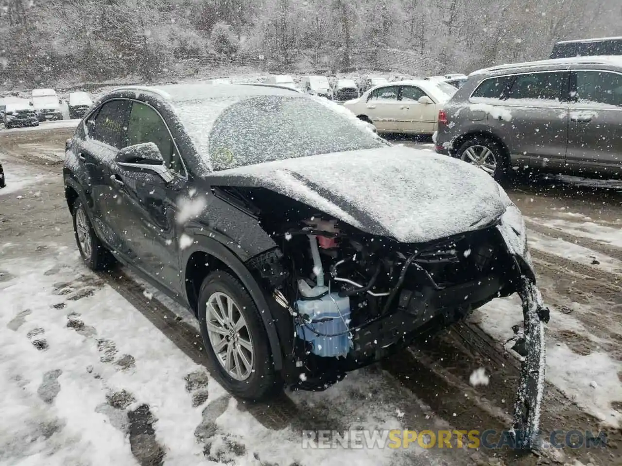 1 Photograph of a damaged car JTJDARDZ3L2230925 LEXUS NX 2020