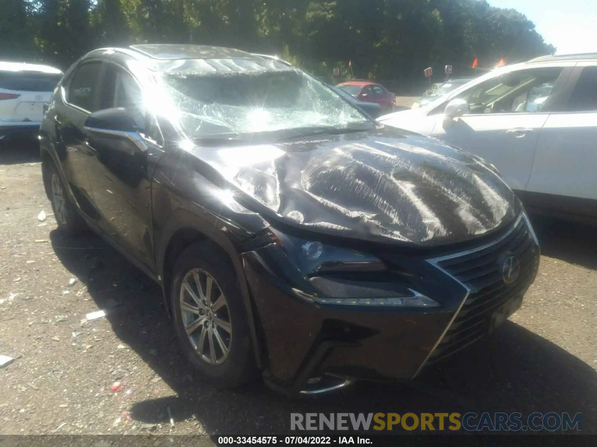 1 Photograph of a damaged car JTJDARDZ5L2222518 LEXUS NX 2020