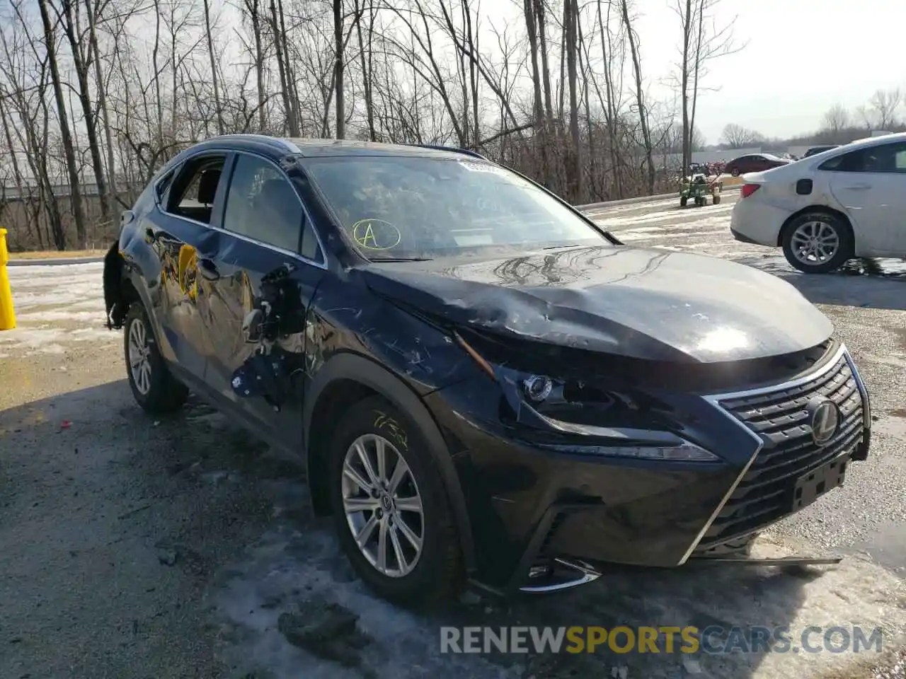 1 Photograph of a damaged car JTJDARDZ5L5012399 LEXUS NX 2020