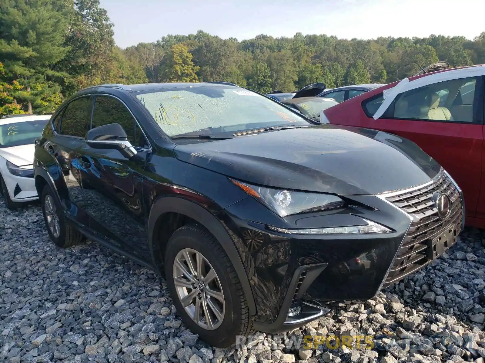 1 Photograph of a damaged car JTJDARDZ6L5013545 LEXUS NX 2020