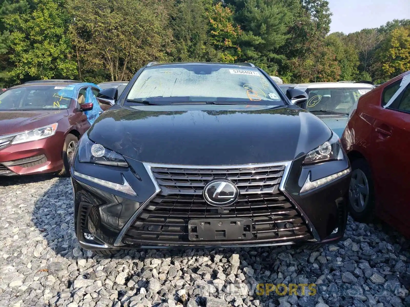 9 Photograph of a damaged car JTJDARDZ6L5013545 LEXUS NX 2020