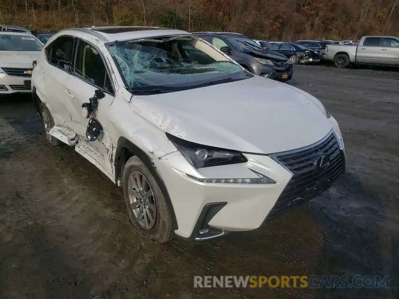 1 Photograph of a damaged car JTJDARDZ7L5011996 LEXUS NX 2020