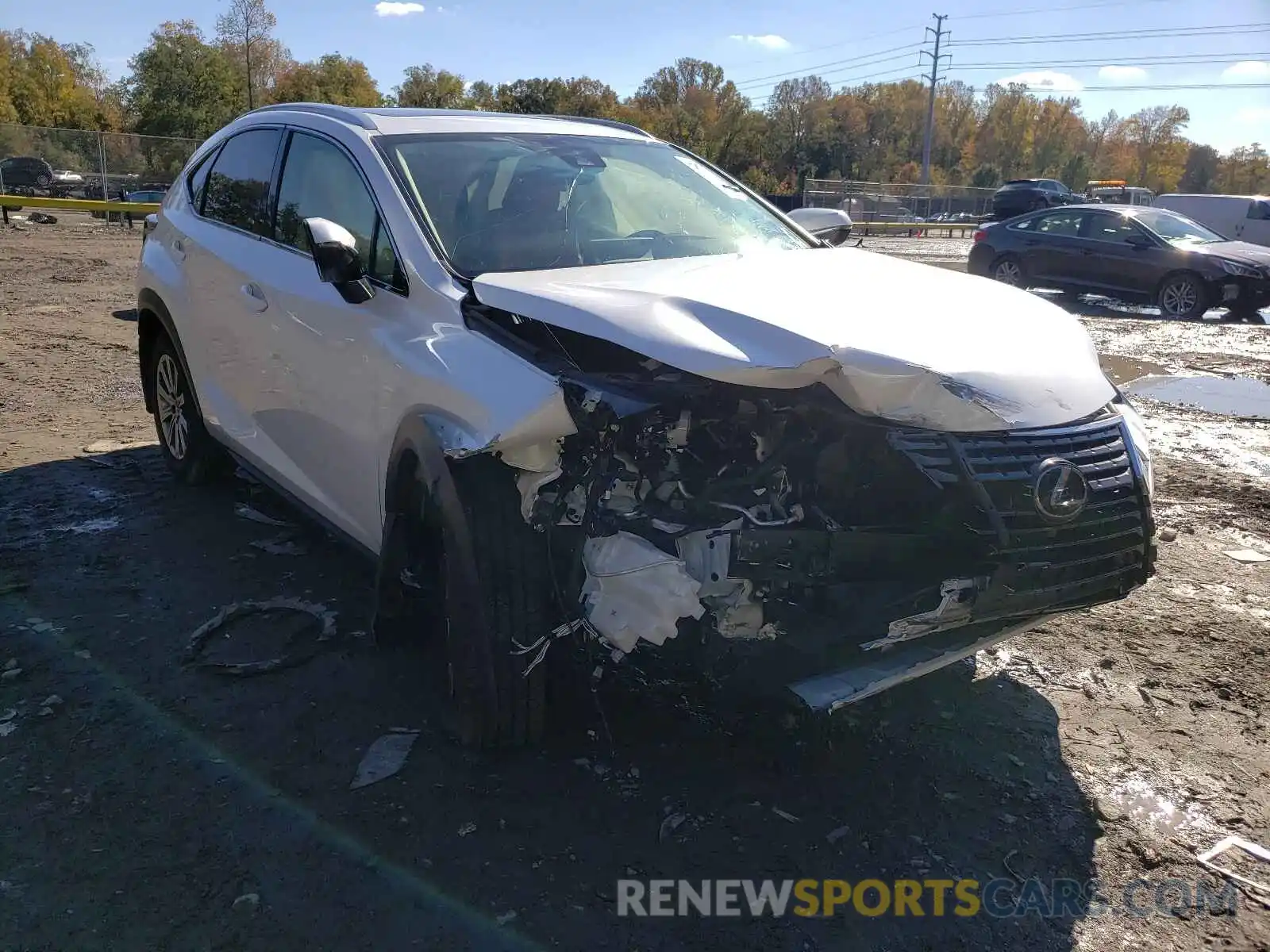 1 Photograph of a damaged car JTJDARDZ8L5000473 LEXUS NX 2020