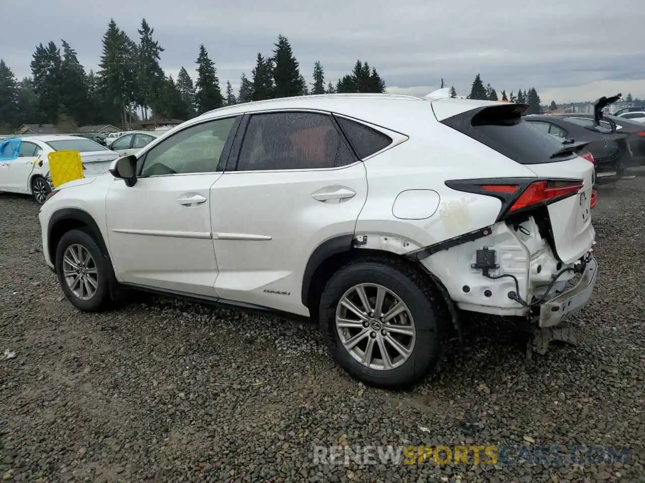 2 Фотография поврежденного автомобиля JTJDJRDZ1L5003943 LEXUS NX 2020