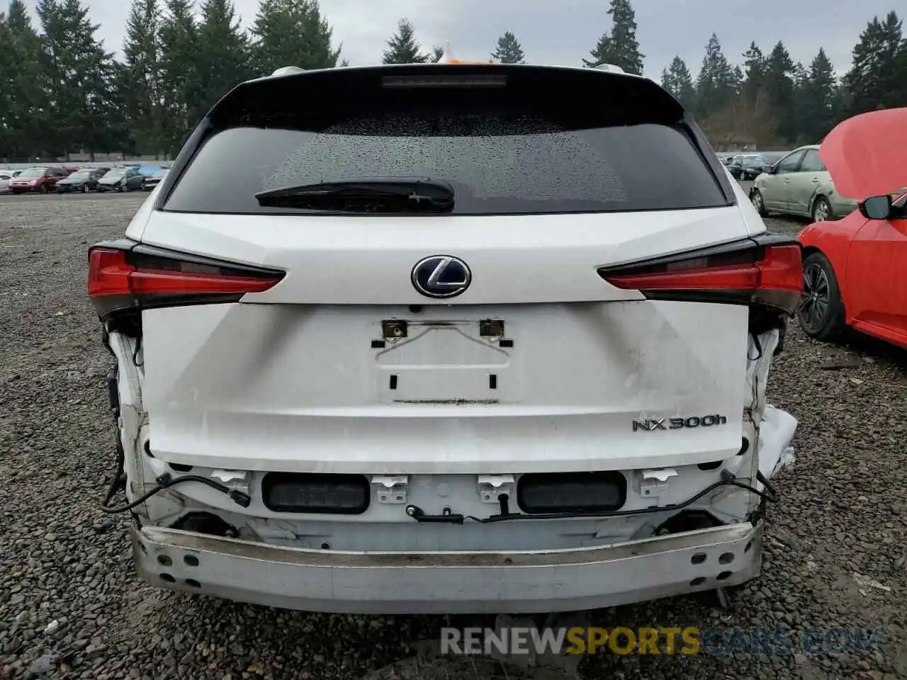 6 Photograph of a damaged car JTJDJRDZ1L5003943 LEXUS NX 2020