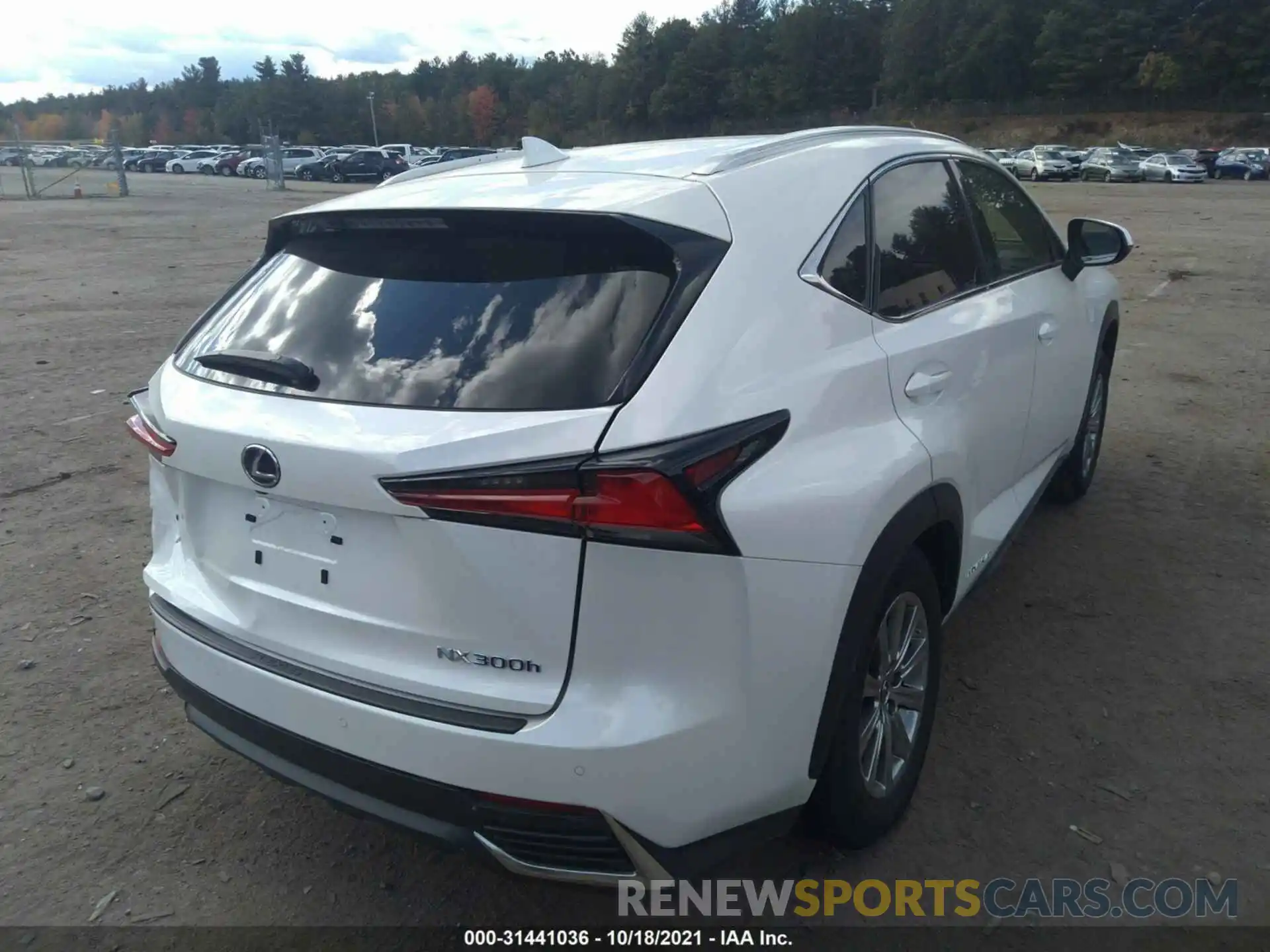 4 Photograph of a damaged car JTJDJRDZ6L5007289 LEXUS NX 2020