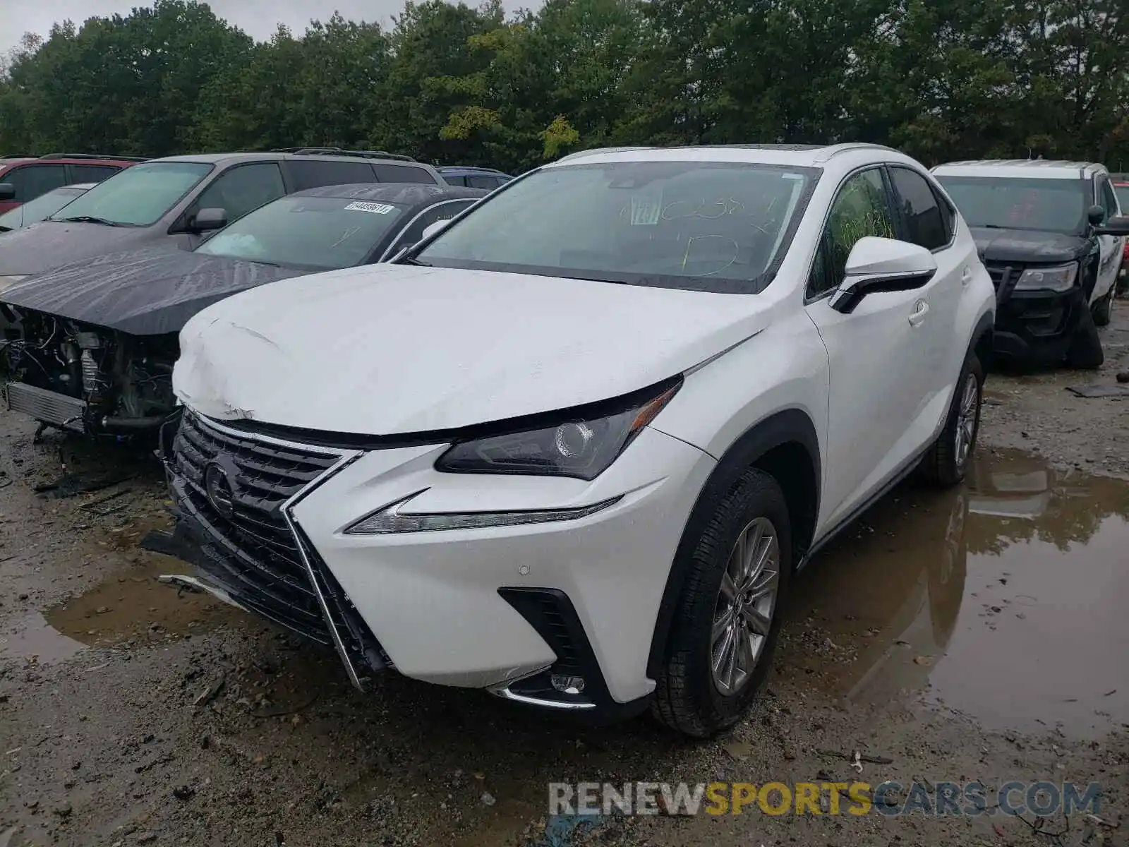 2 Photograph of a damaged car JTJDJRDZXL5002516 LEXUS NX 2020