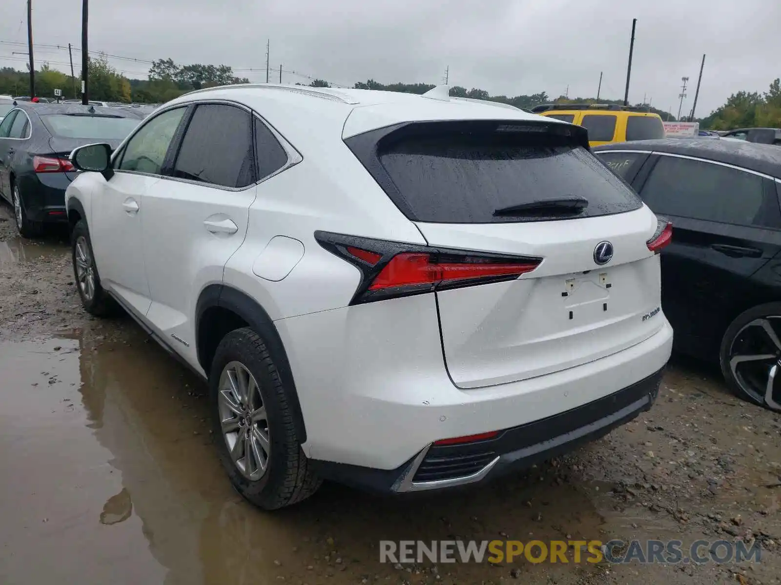 3 Фотография поврежденного автомобиля JTJDJRDZXL5002516 LEXUS NX 2020