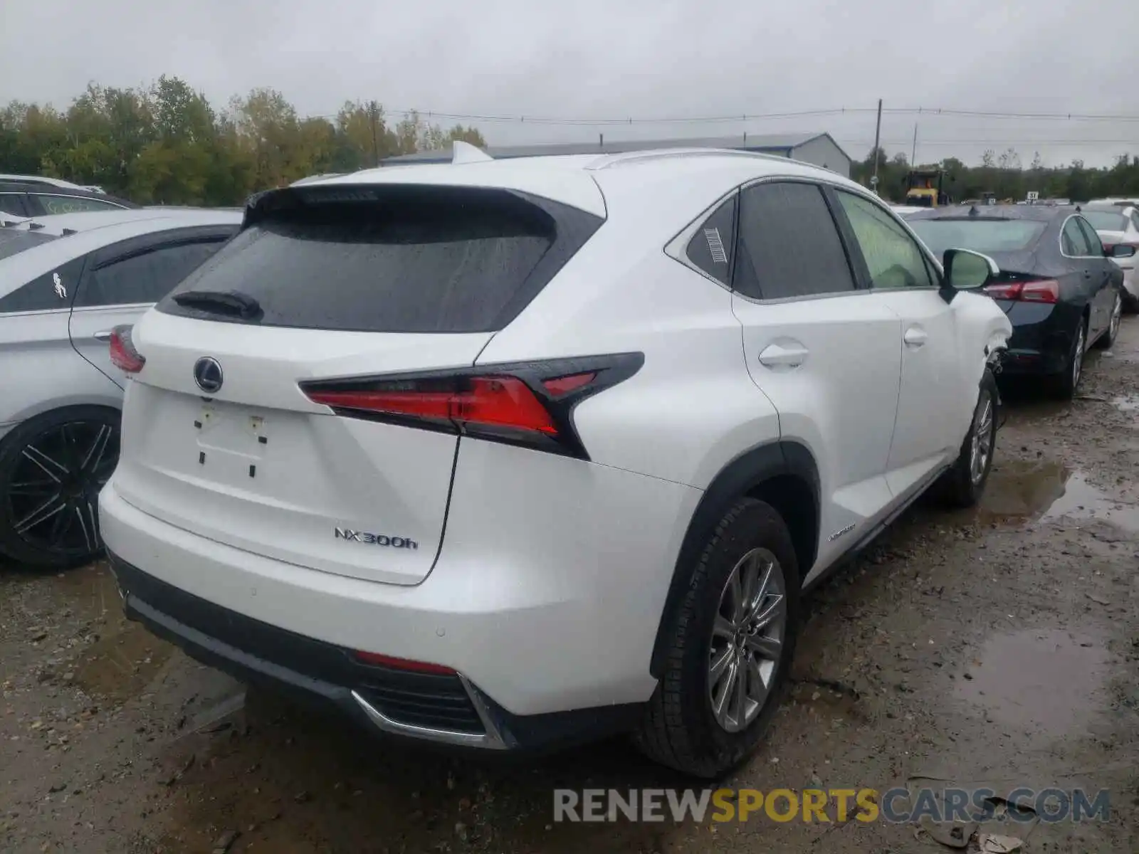 4 Фотография поврежденного автомобиля JTJDJRDZXL5002516 LEXUS NX 2020