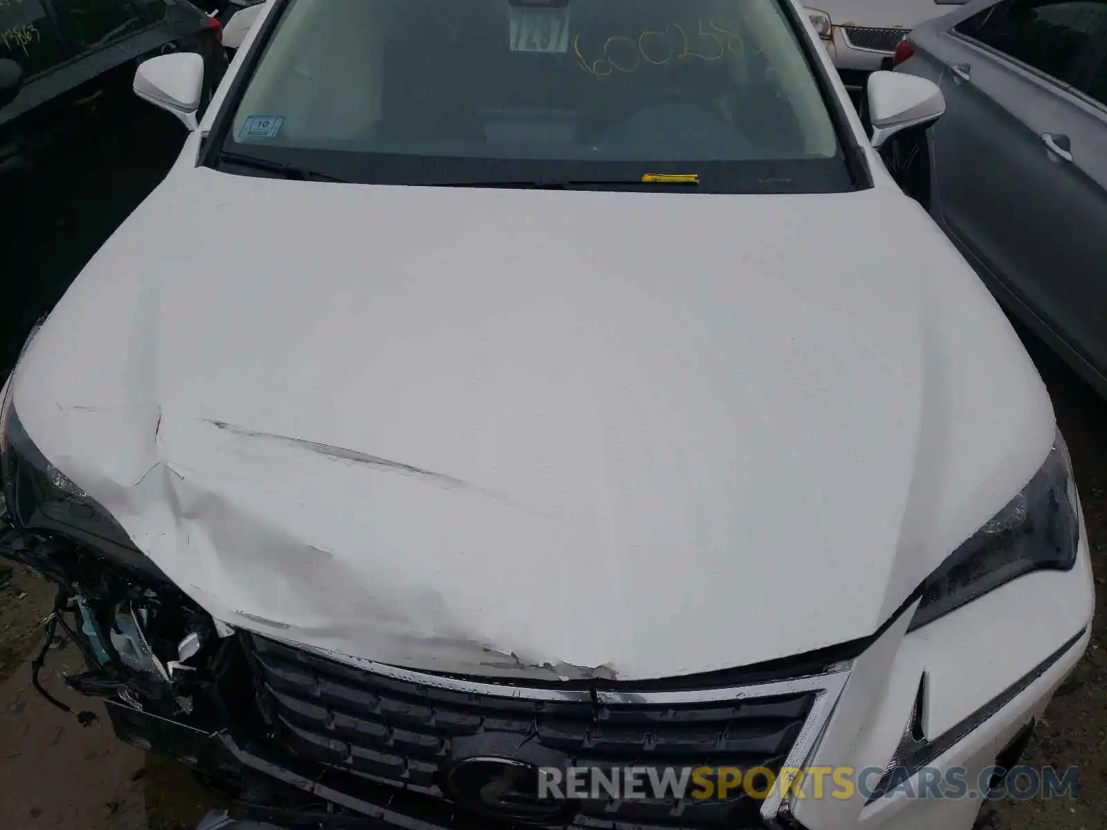 7 Photograph of a damaged car JTJDJRDZXL5002516 LEXUS NX 2020