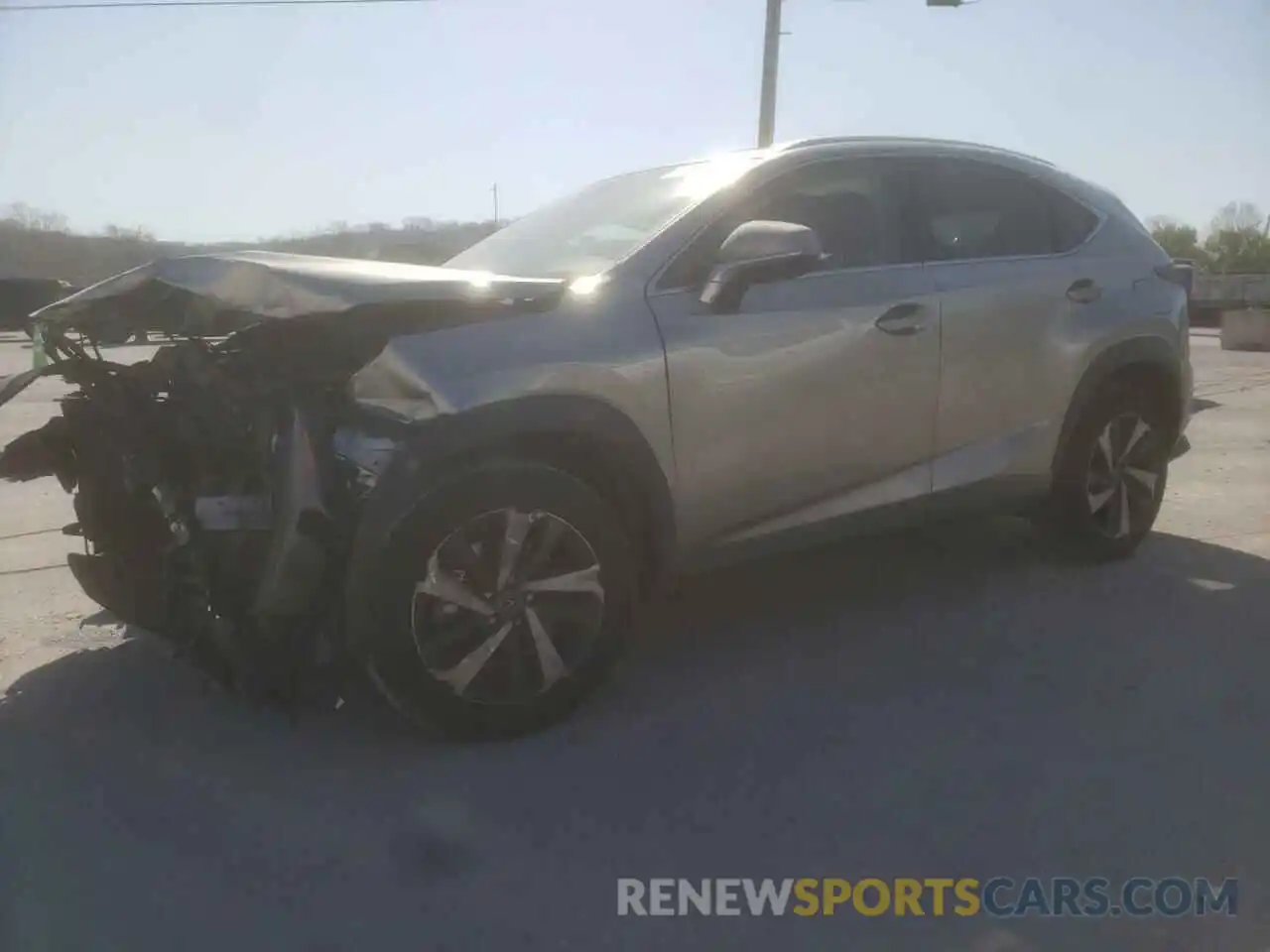 1 Photograph of a damaged car JTJGARBZ6L2173135 LEXUS NX 2020