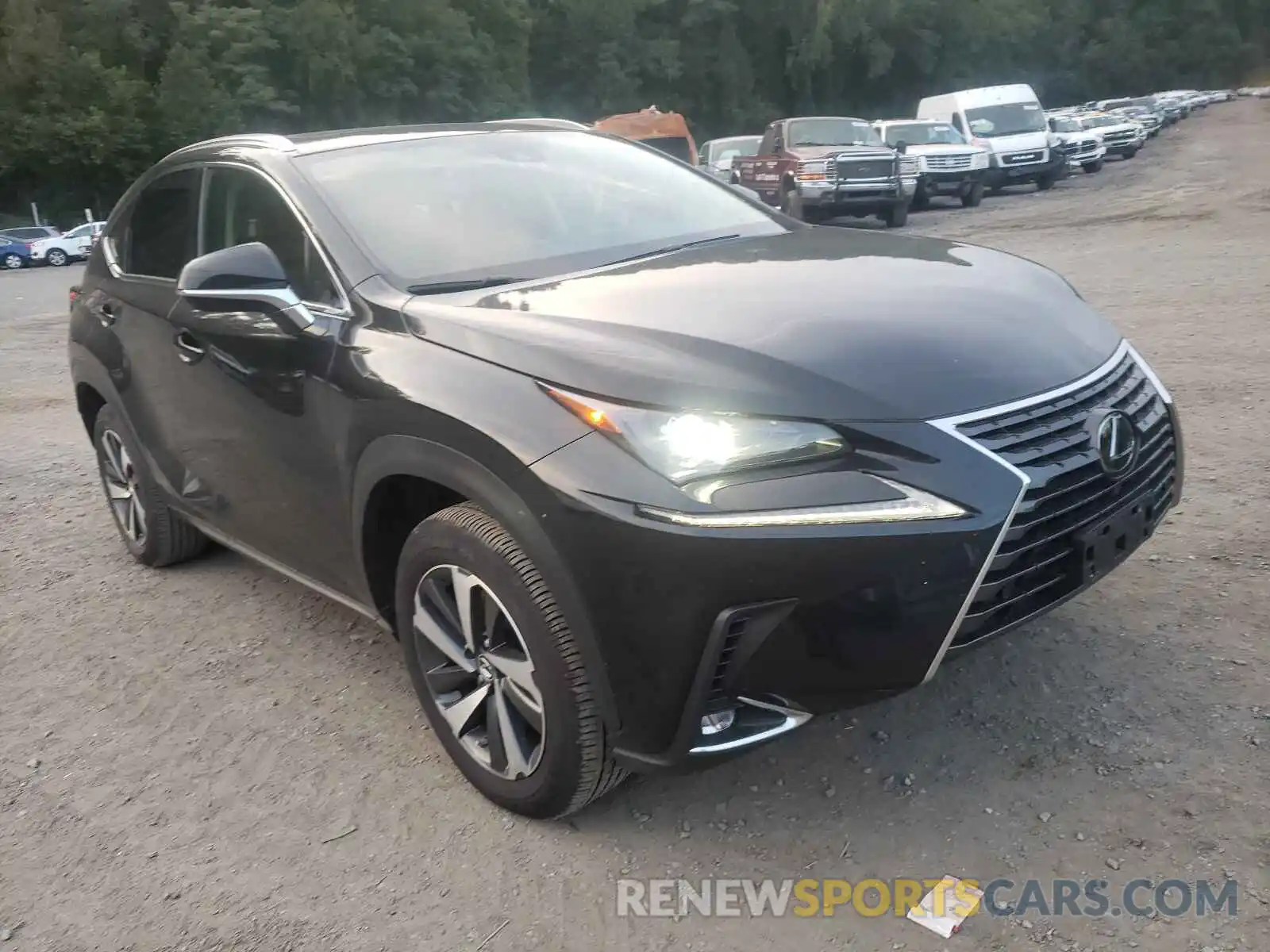 1 Фотография поврежденного автомобиля JTJGARDZ0L5016809 LEXUS NX 2020