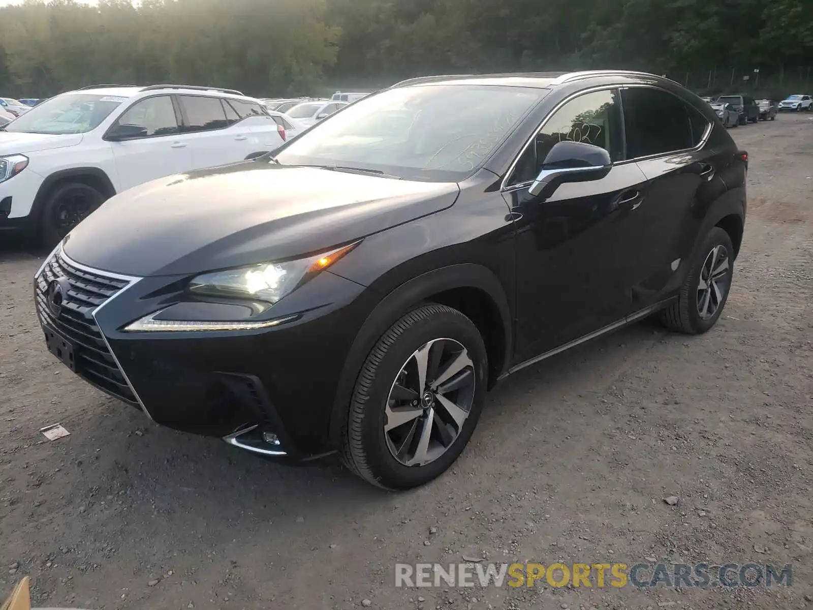 2 Фотография поврежденного автомобиля JTJGARDZ0L5016809 LEXUS NX 2020