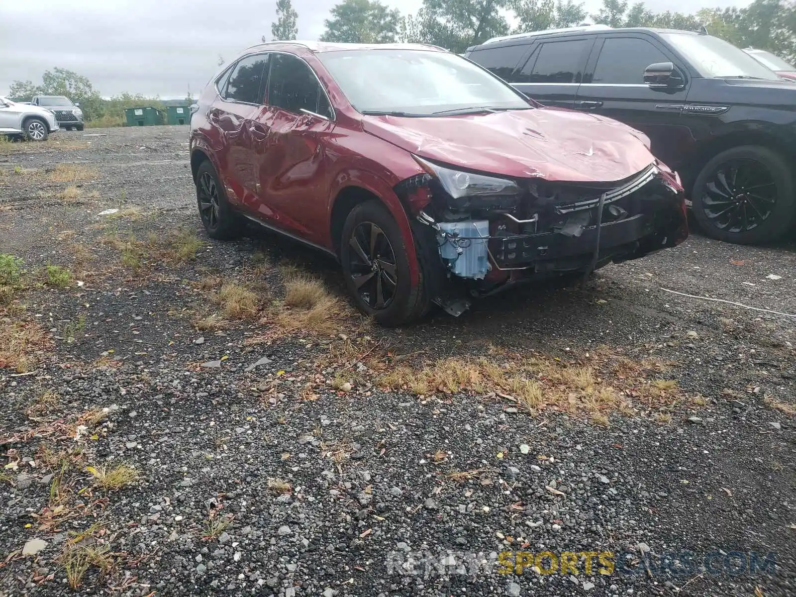 1 Photograph of a damaged car JTJGARDZ1L2229270 LEXUS NX 2020