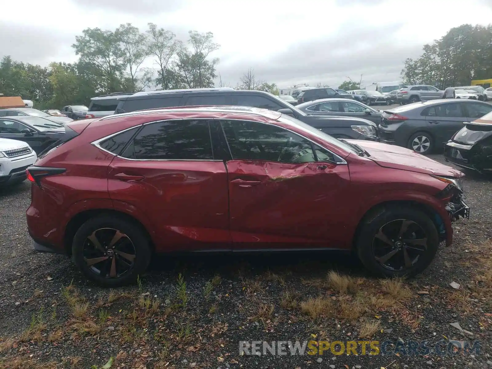 9 Photograph of a damaged car JTJGARDZ1L2229270 LEXUS NX 2020