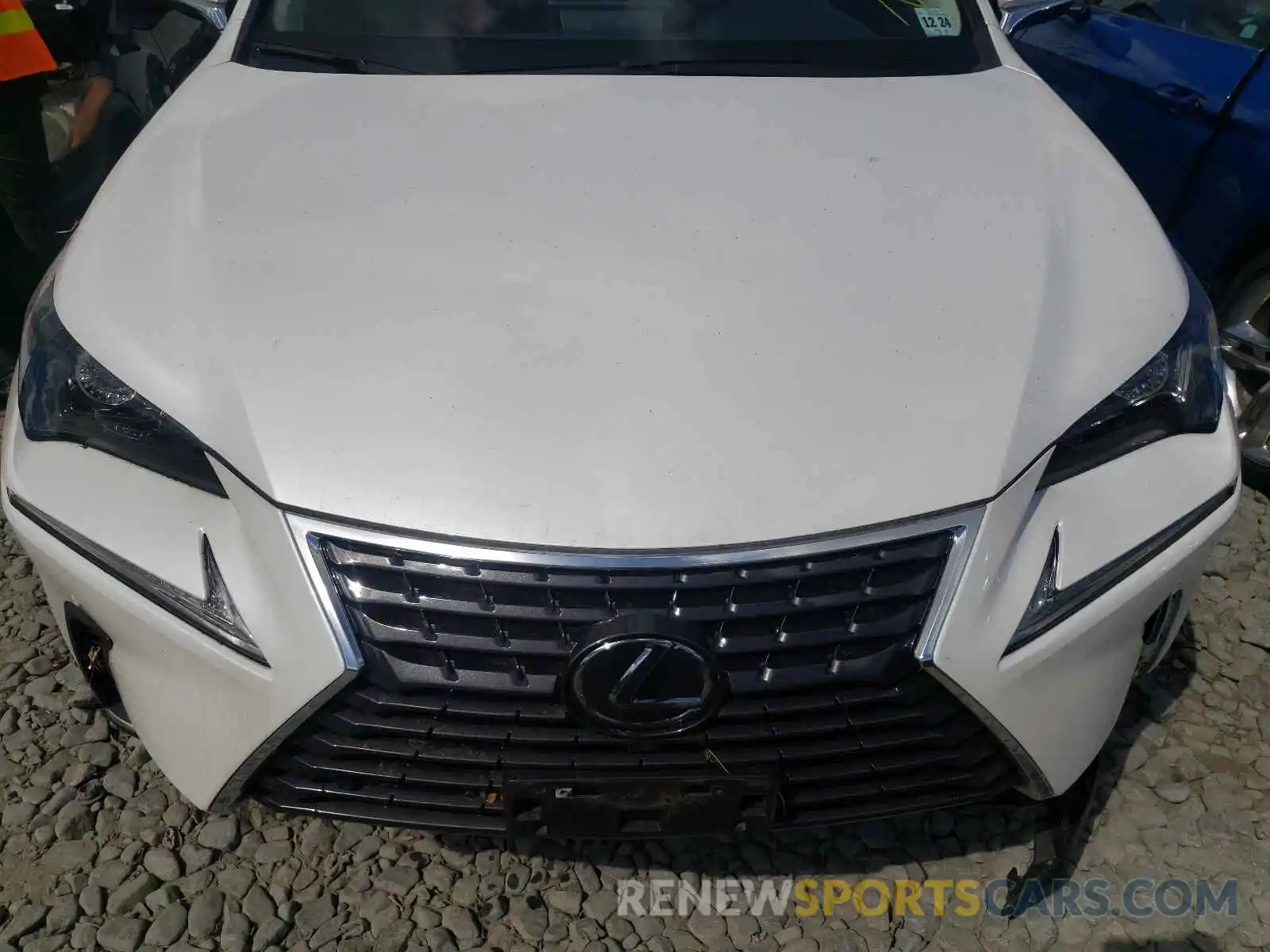 9 Фотография поврежденного автомобиля JTJGARDZ1L5003566 LEXUS NX 2020