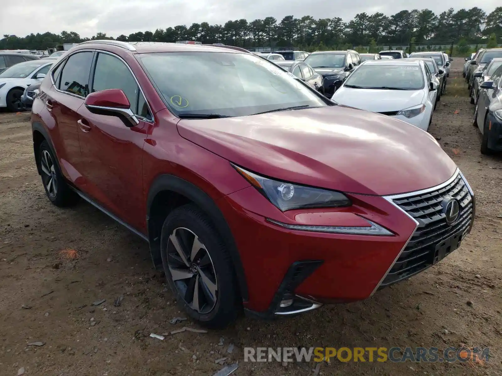 1 Photograph of a damaged car JTJGARDZ2L5018576 LEXUS NX 2020