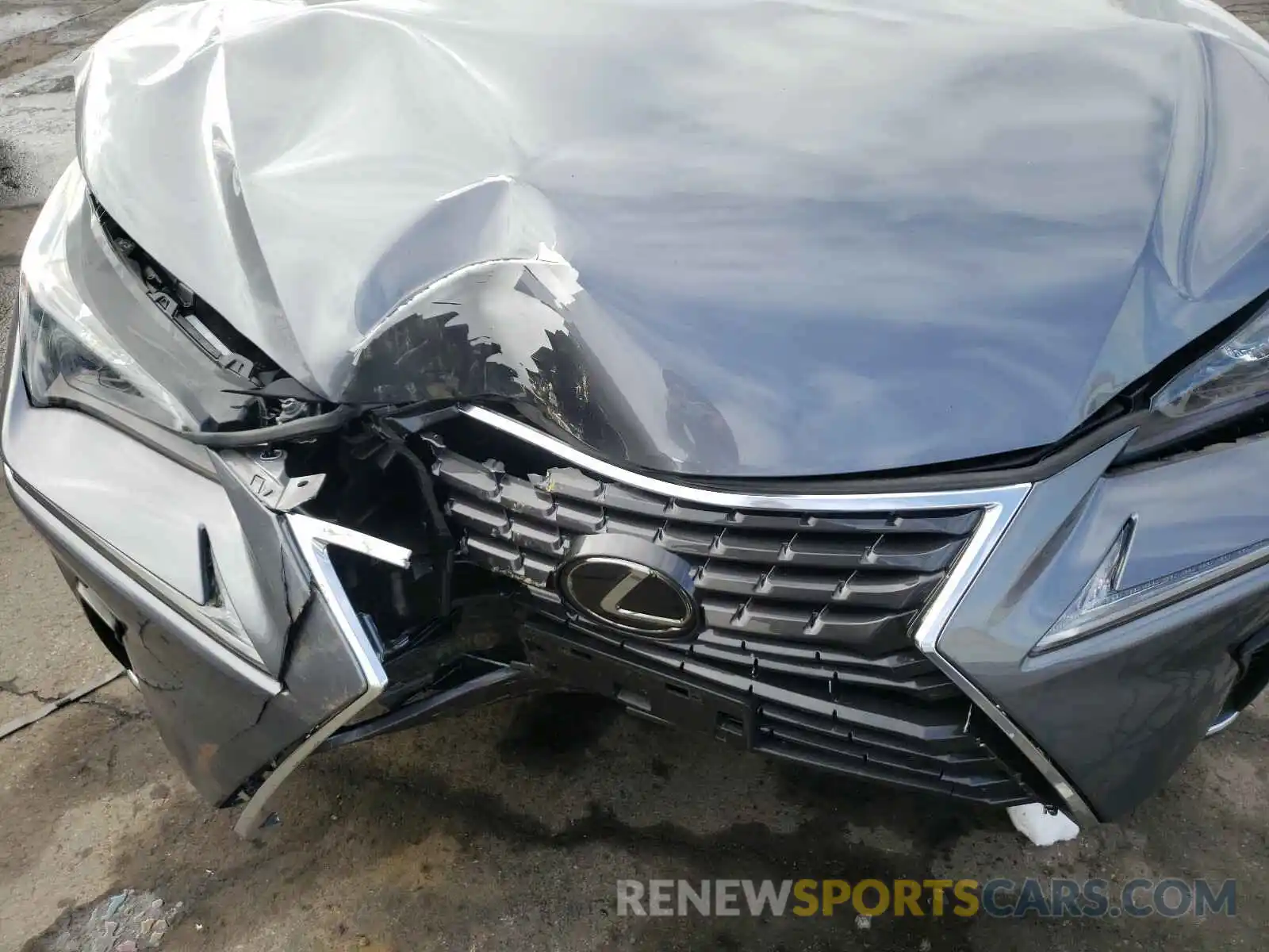 7 Photograph of a damaged car JTJGARDZ3L2222935 LEXUS NX 2020