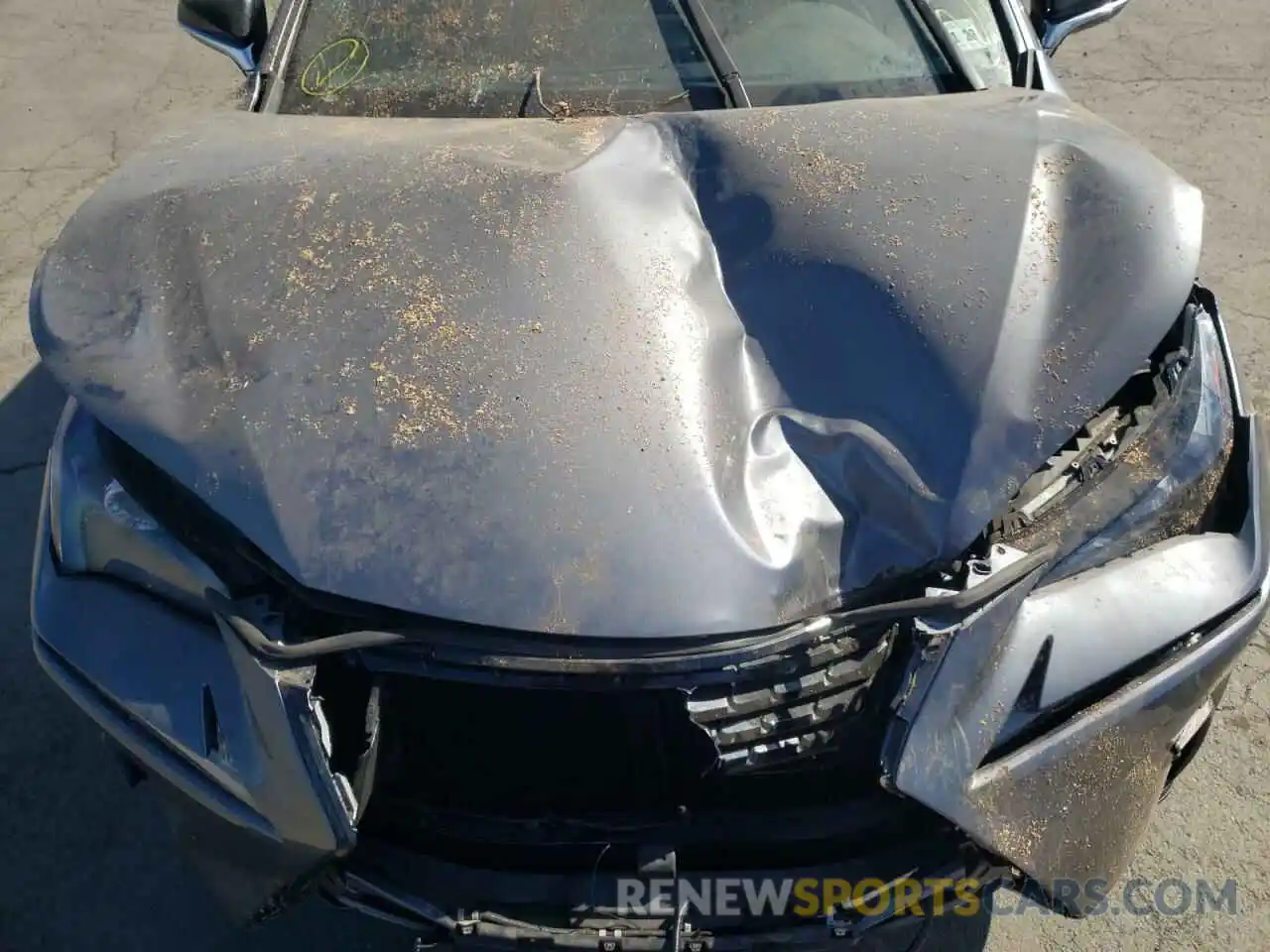 7 Photograph of a damaged car JTJGARDZ5L2229272 LEXUS NX 2020