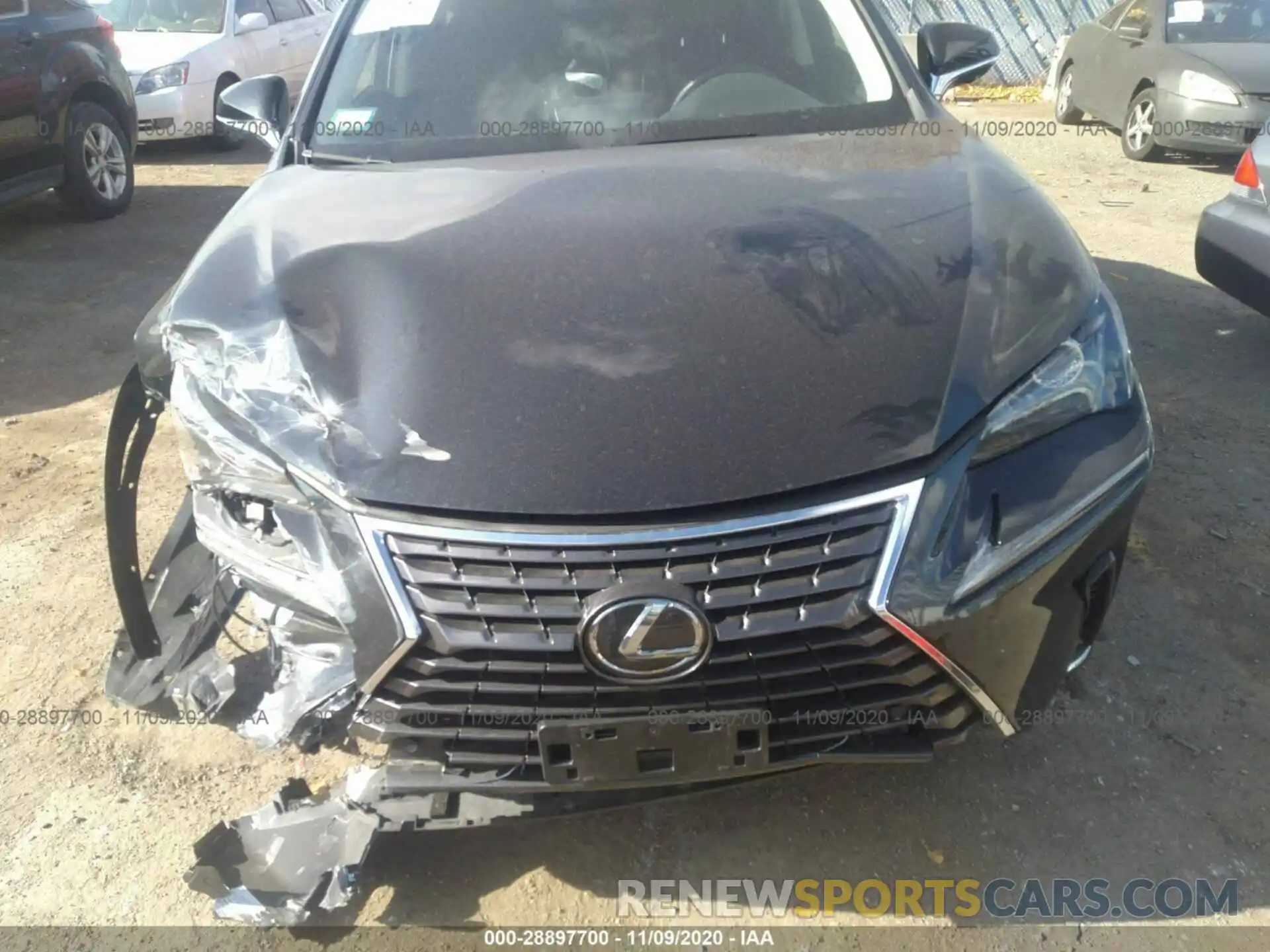 6 Photograph of a damaged car JTJGARDZXL5015554 LEXUS NX 2020