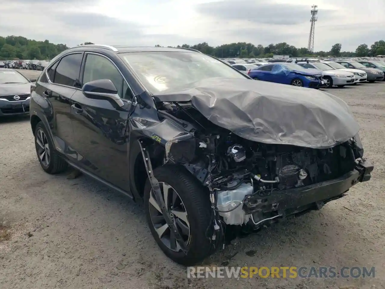 1 Photograph of a damaged car JTJGJRDZ0L5006135 LEXUS NX 2020