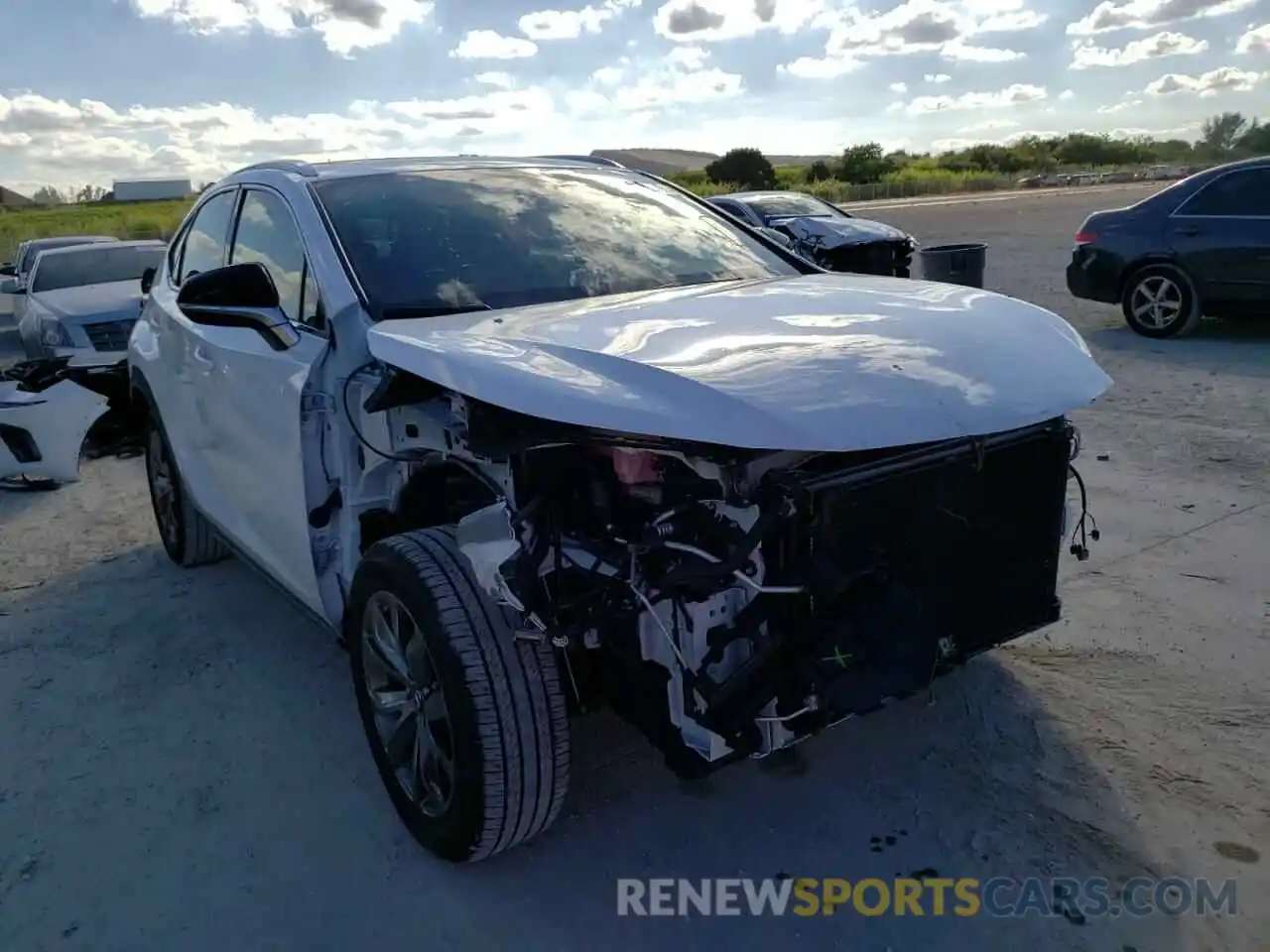 1 Photograph of a damaged car JTJSARBZ4L2177923 LEXUS NX 2020