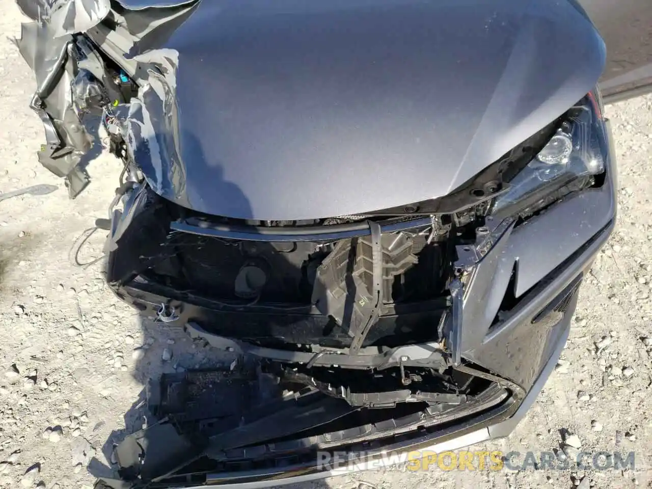 7 Photograph of a damaged car JTJSARBZ4L5005583 LEXUS NX 2020