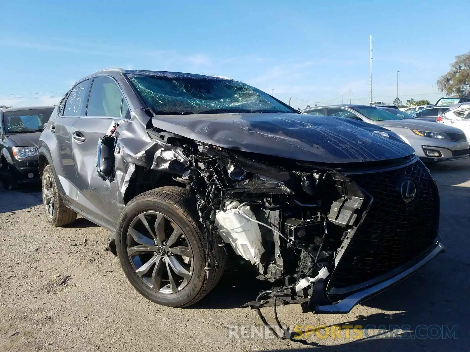 1 Photograph of a damaged car JTJSARBZ9L2166352 LEXUS NX 2020