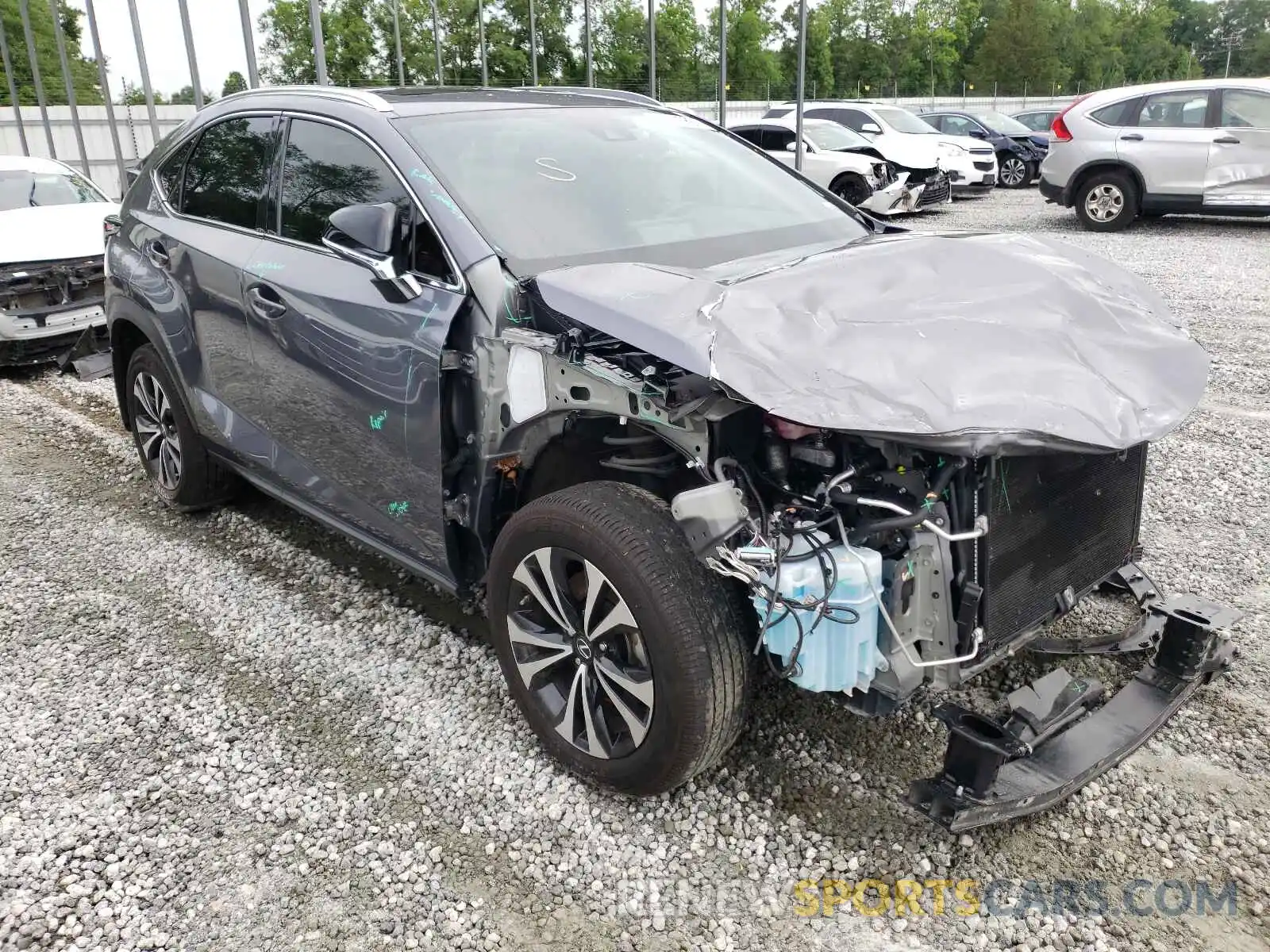 1 Photograph of a damaged car JTJSARDZ4L5002468 LEXUS NX 2020