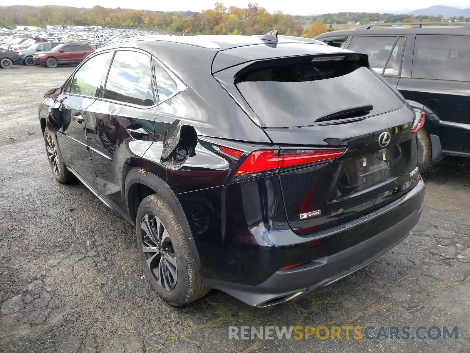 3 Фотография поврежденного автомобиля JTJSARDZXL2219850 LEXUS NX 2020