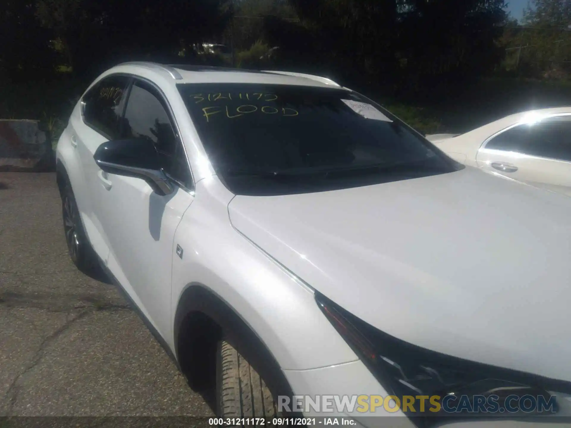 6 Photograph of a damaged car JTJSARDZXL2233795 LEXUS NX 2020