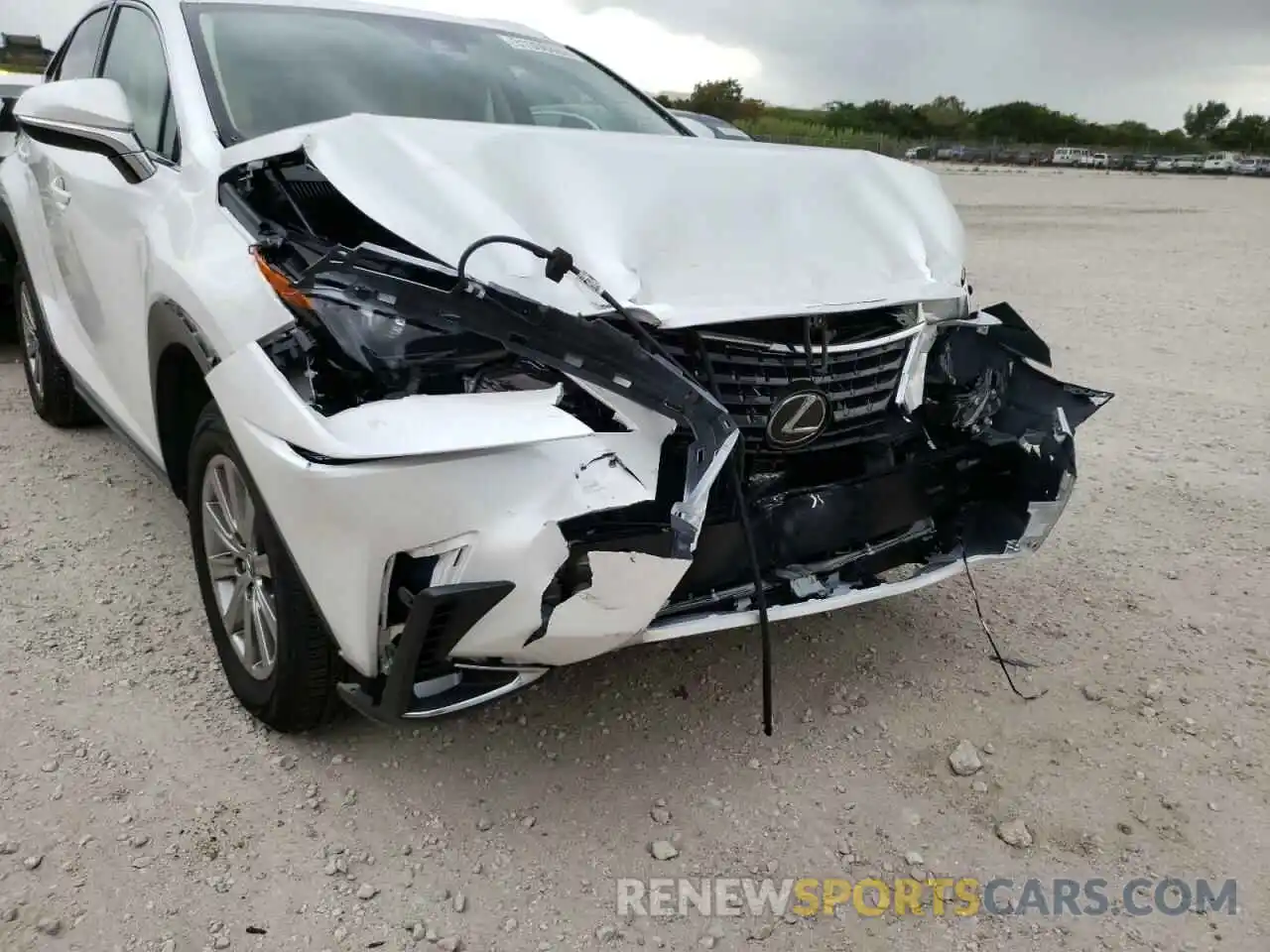 9 Photograph of a damaged car JTJDARBZ3M5029271 LEXUS NX 2021