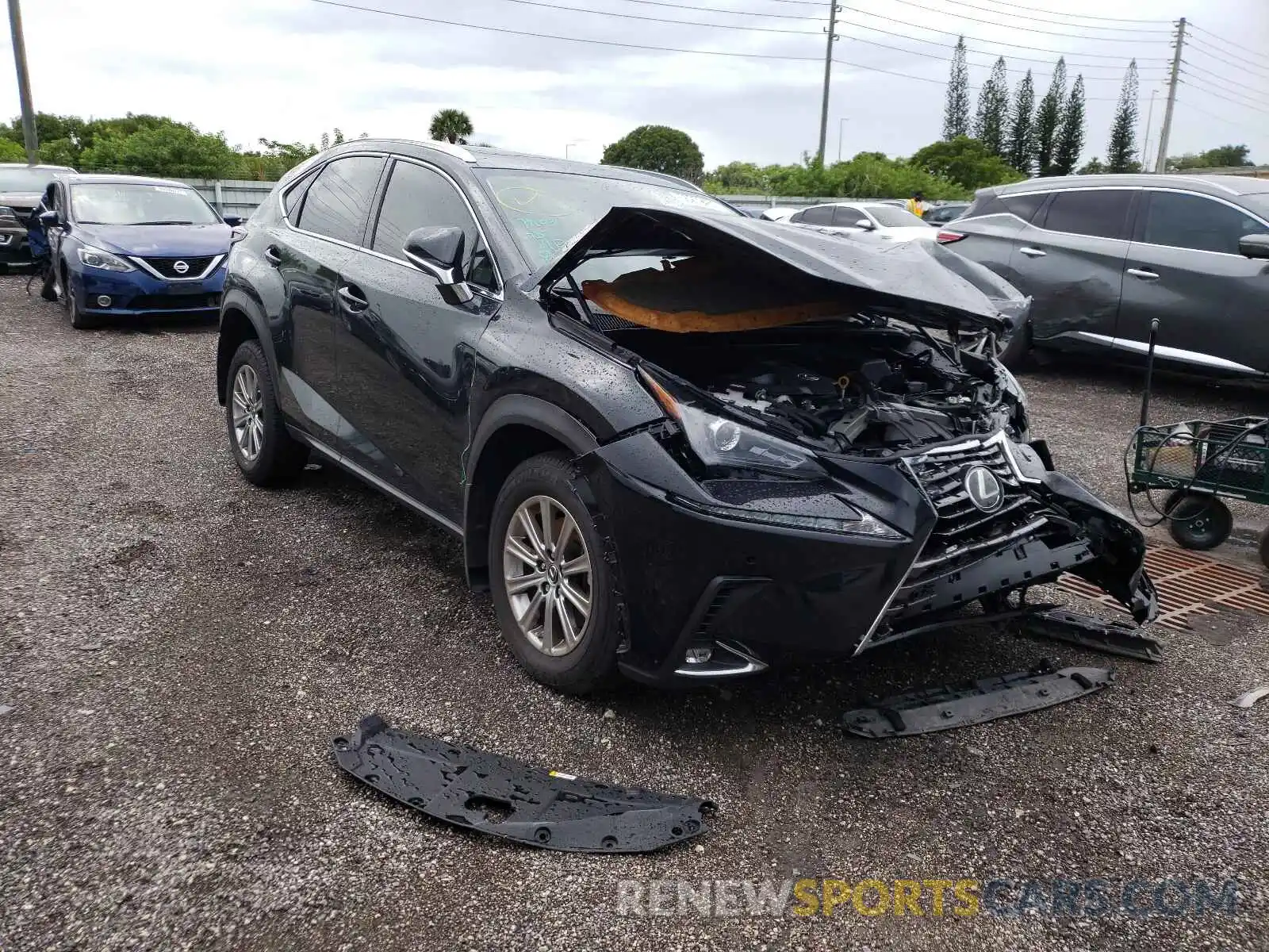 1 Photograph of a damaged car JTJDARBZ4M2193842 LEXUS NX 2021