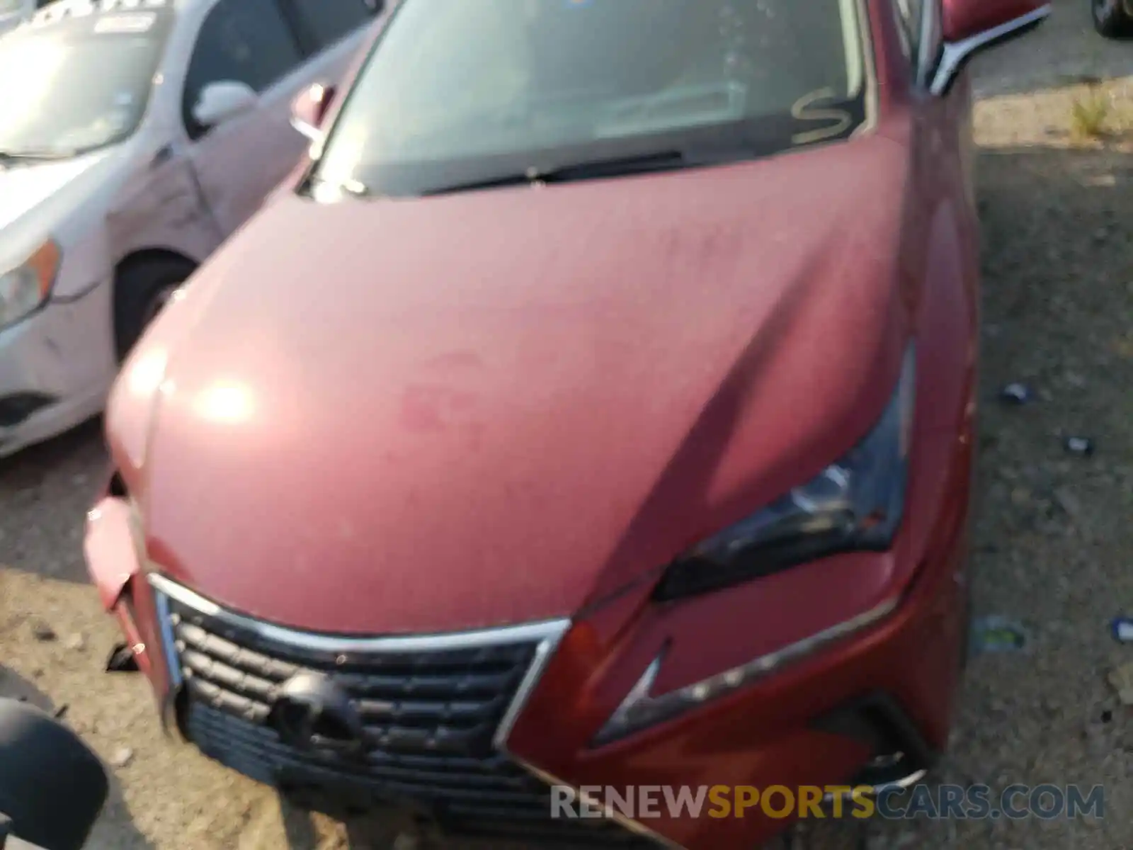 7 Photograph of a damaged car JTJDARBZ4M5026718 LEXUS NX 2021