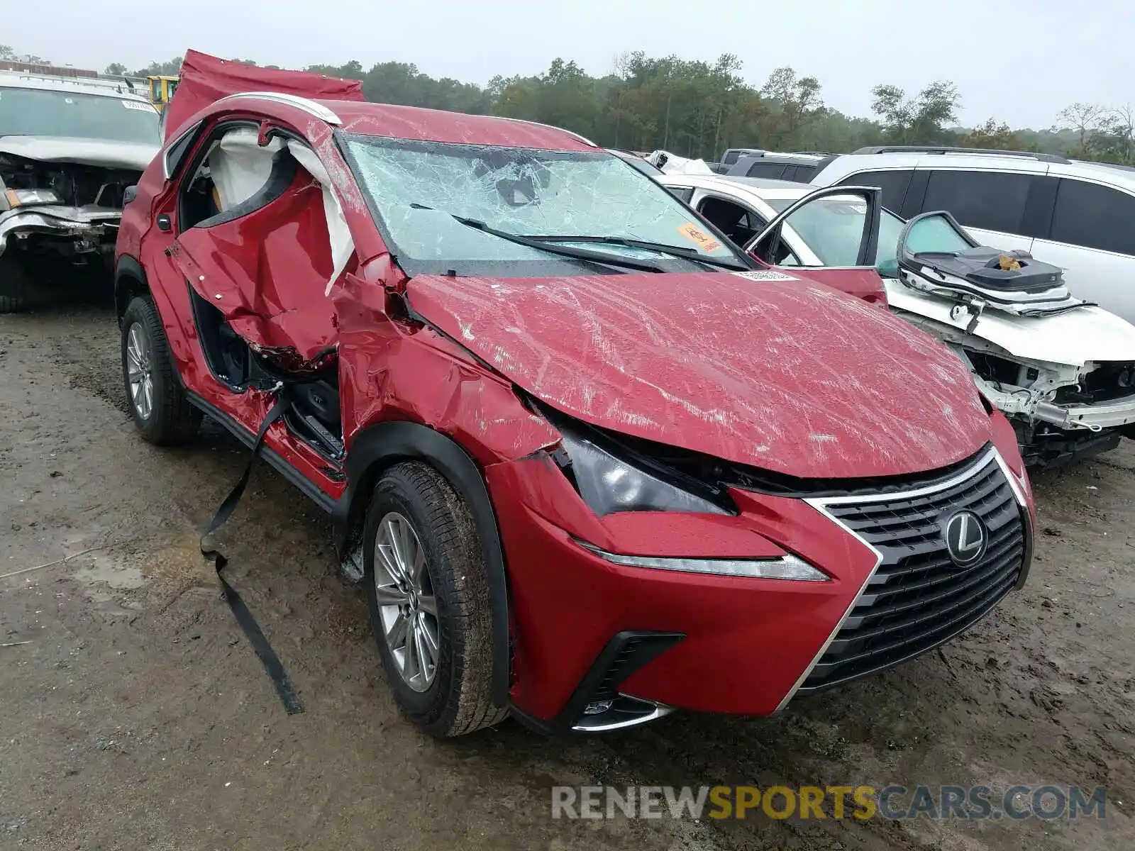 1 Photograph of a damaged car JTJDARBZ8M5021828 LEXUS NX 2021