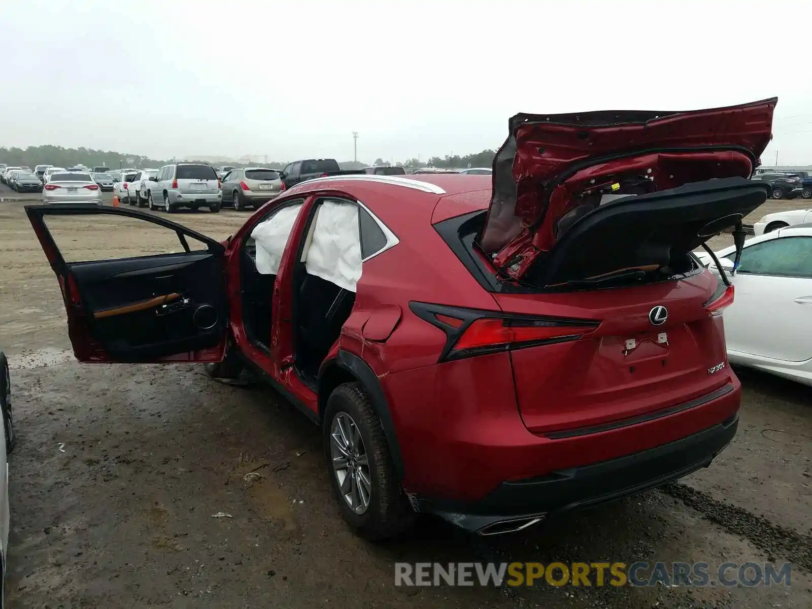 3 Photograph of a damaged car JTJDARBZ8M5021828 LEXUS NX 2021