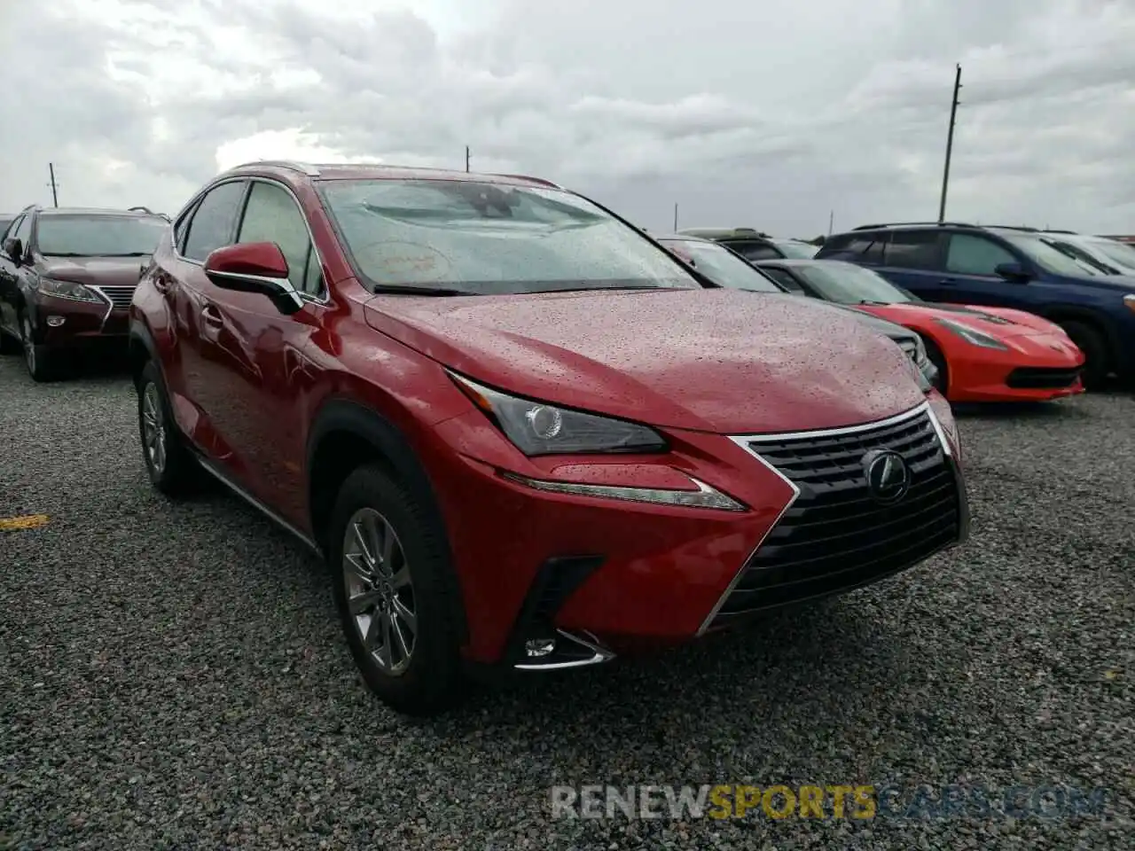 1 Photograph of a damaged car JTJDARBZXM5029672 LEXUS NX 2021