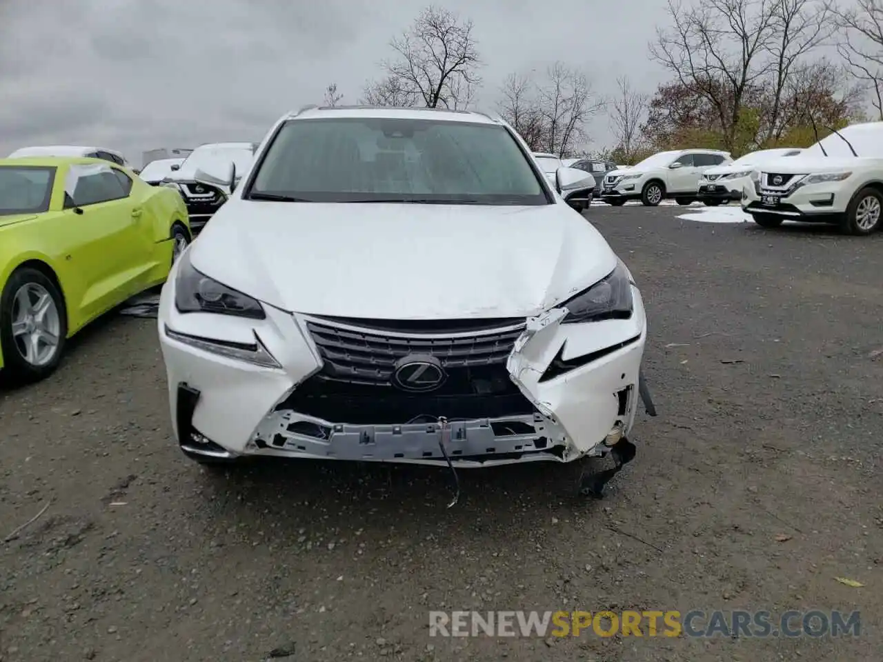 9 Photograph of a damaged car JTJDARDZ1M2261320 LEXUS NX 2021